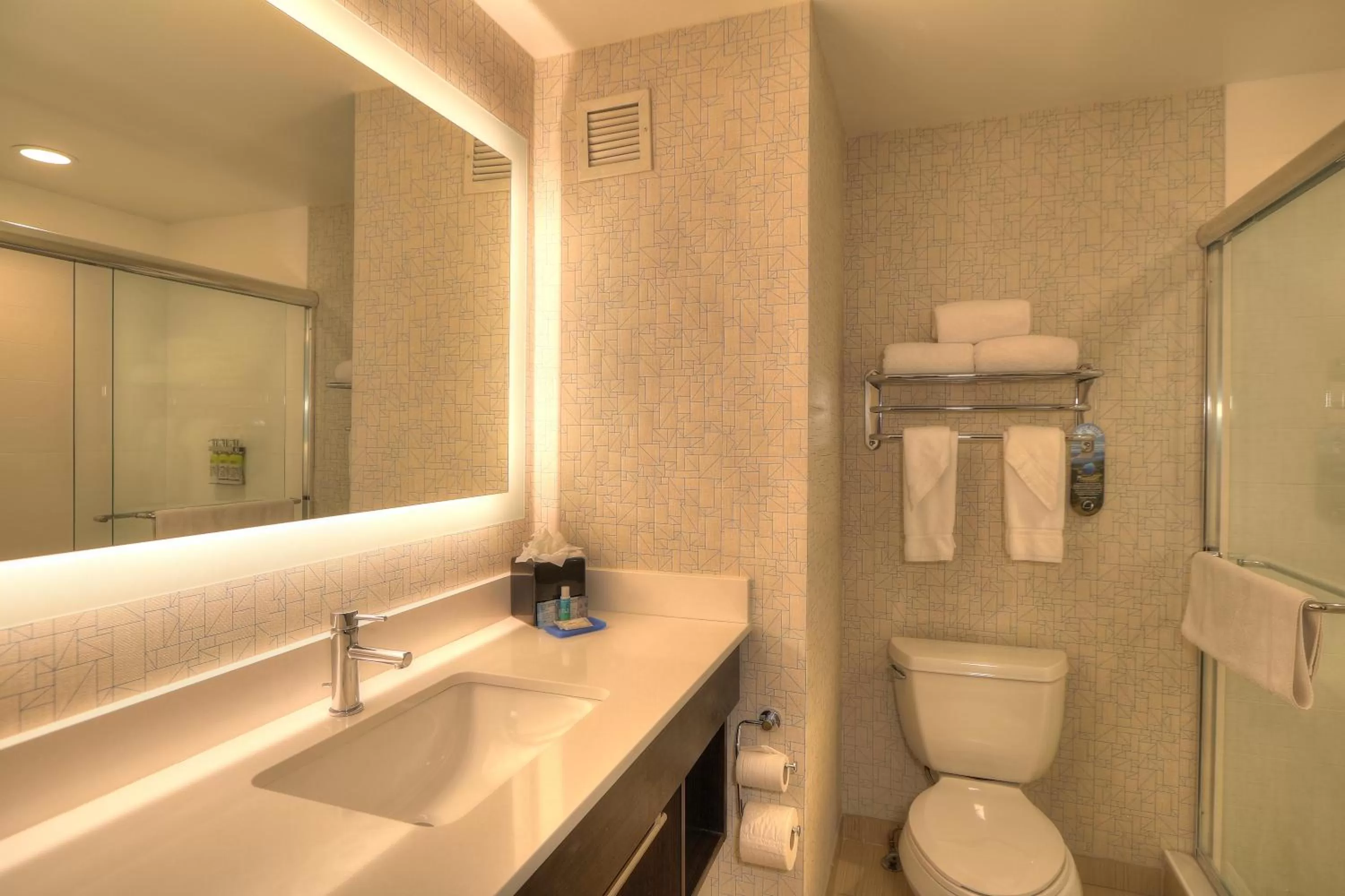 Bathroom in Holiday Inn Express Hotel & Suites Mobile Saraland by IHG
