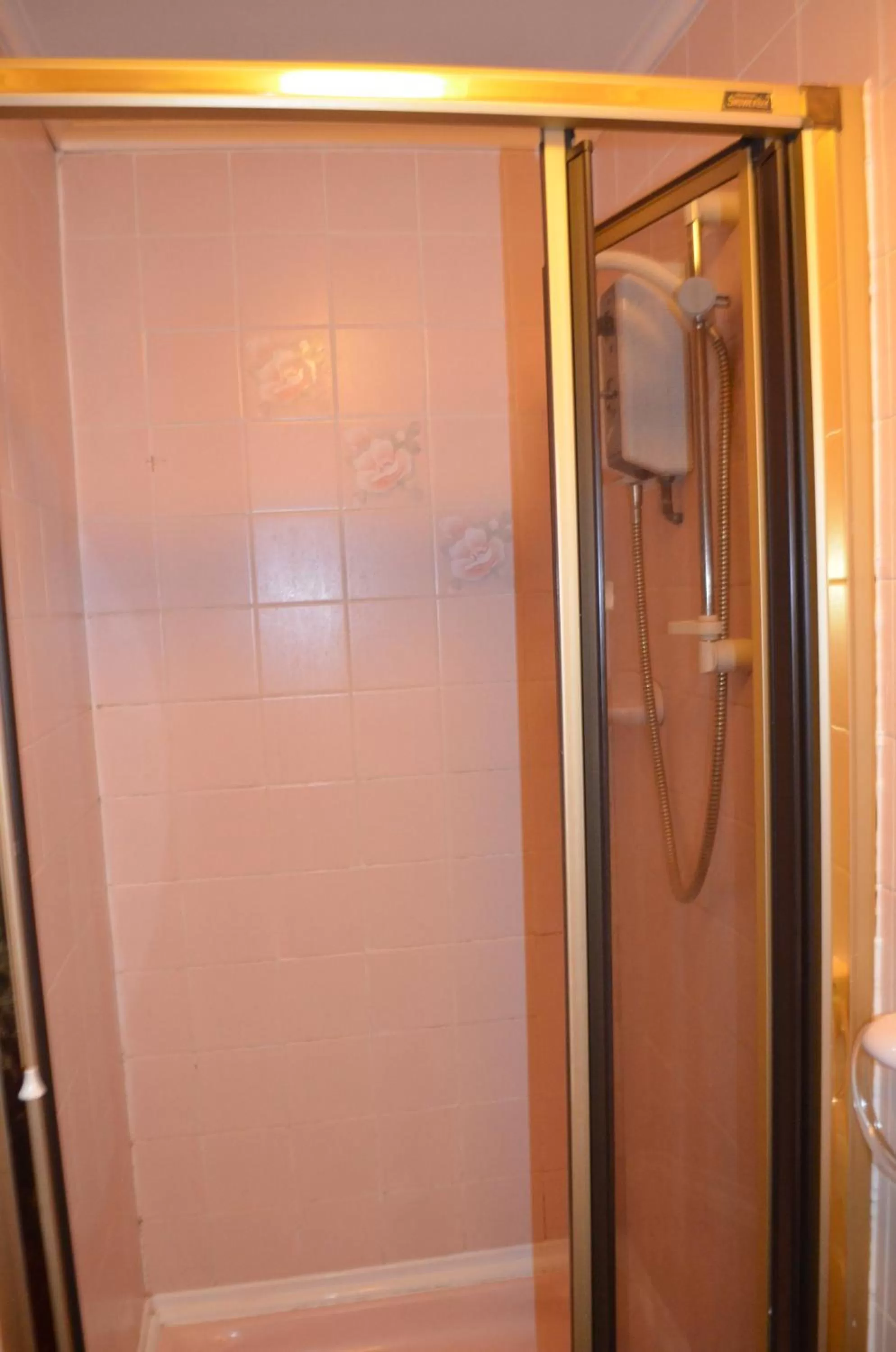 Shower in Lyndhurst Hotel