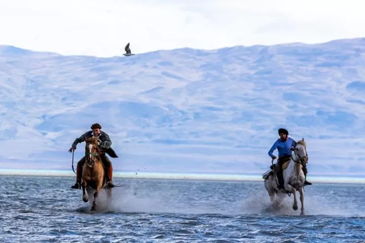 Horseback Riding in Hostería El Galpón Del Glaciar