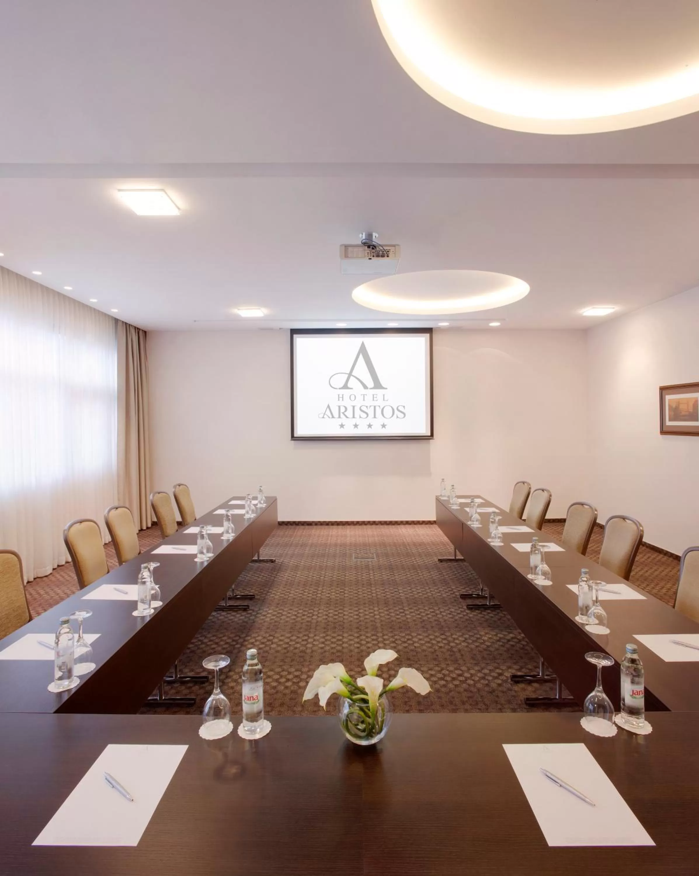 Business facilities in Hotel Aristos
