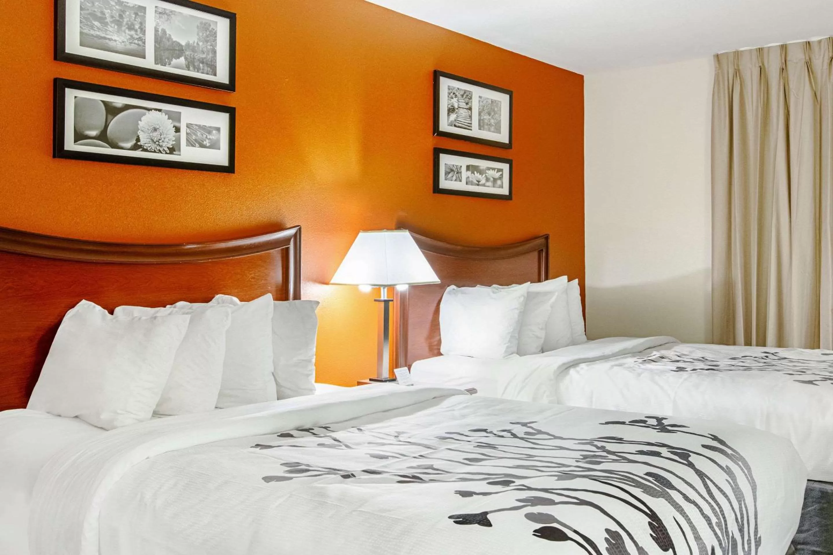 Photo of the whole room, Bed in Sleep Inn & Suites Hobbs