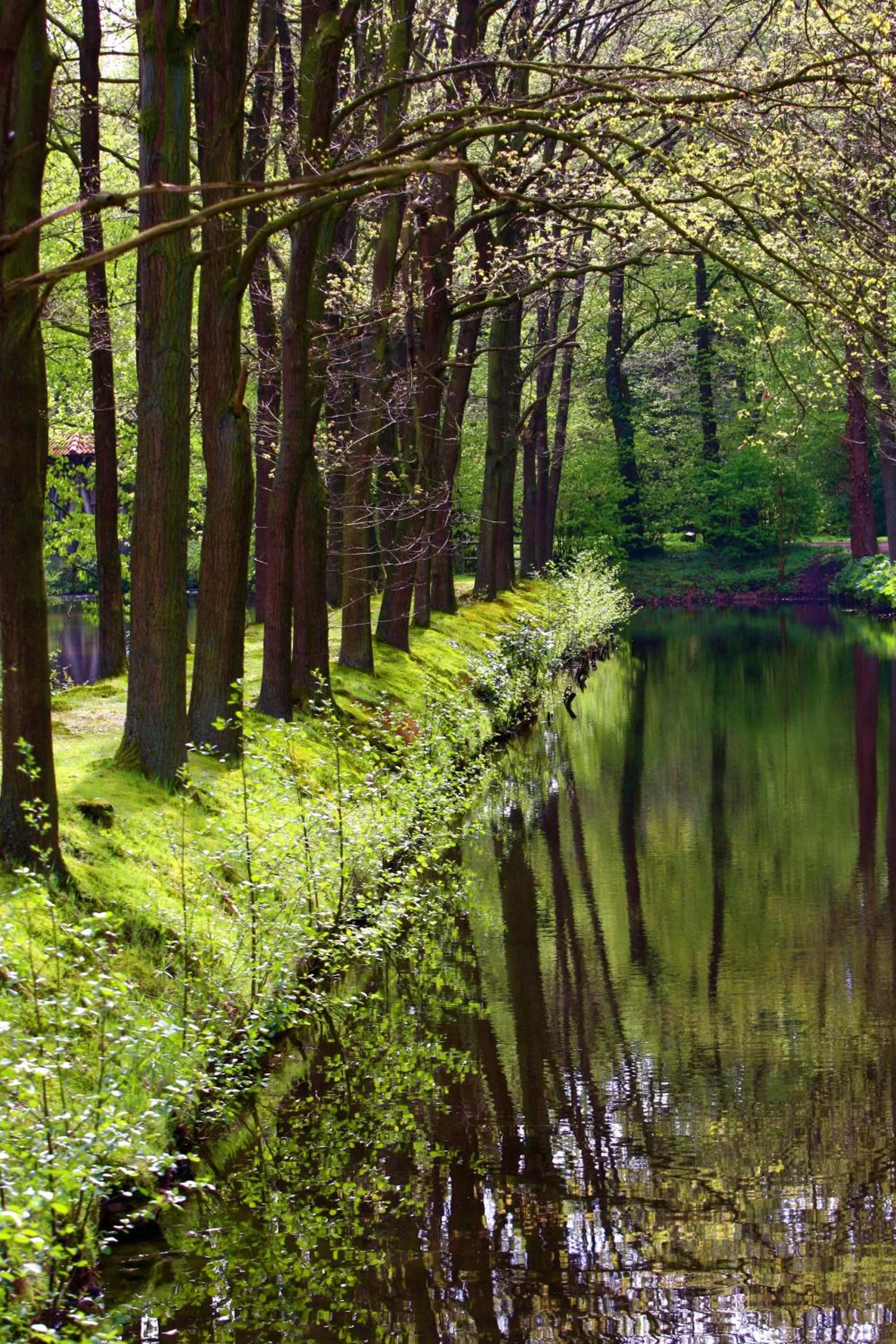 Area and facilities in VILA VITA Burghotel Dinklage