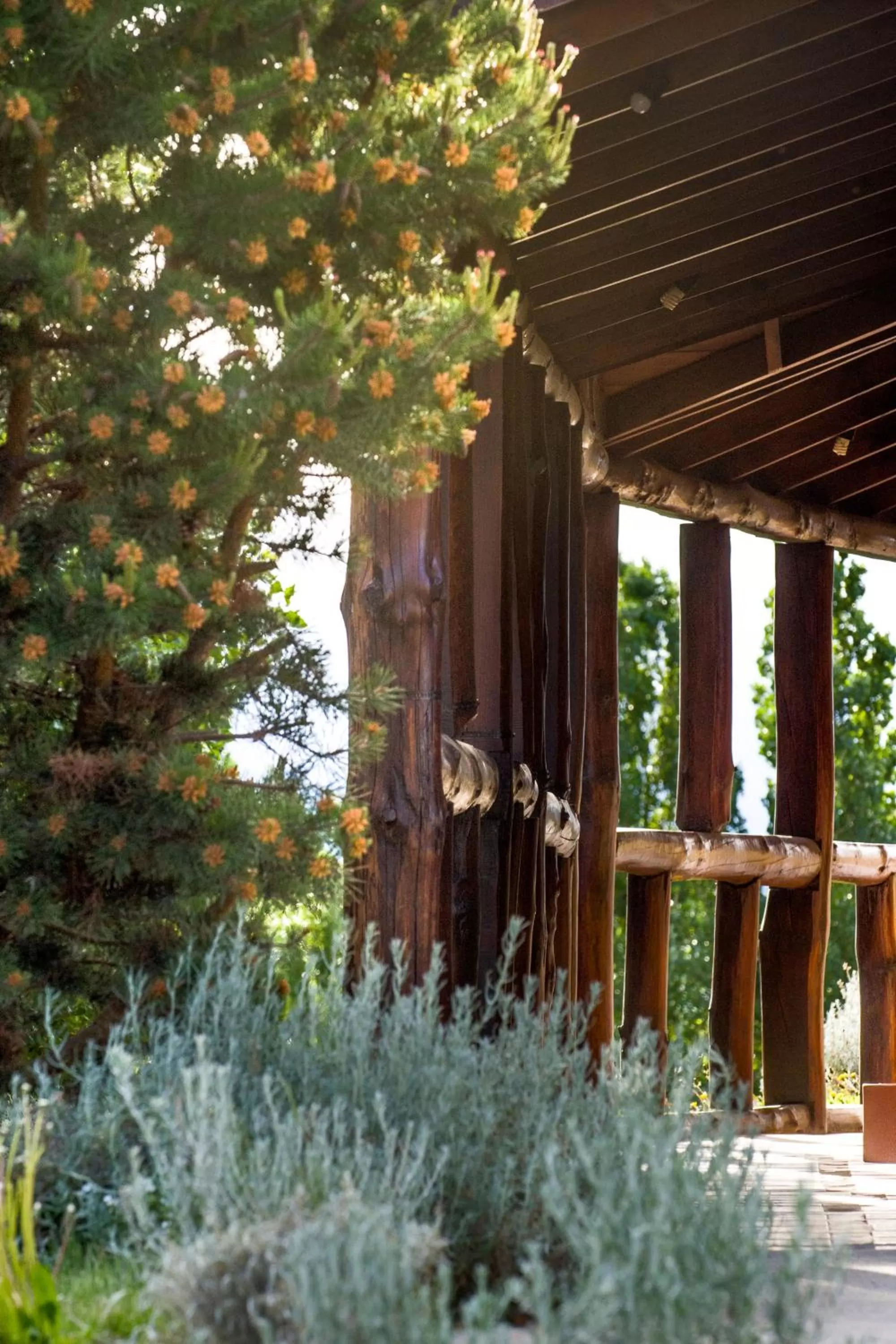 Patio in Posada Larsen
