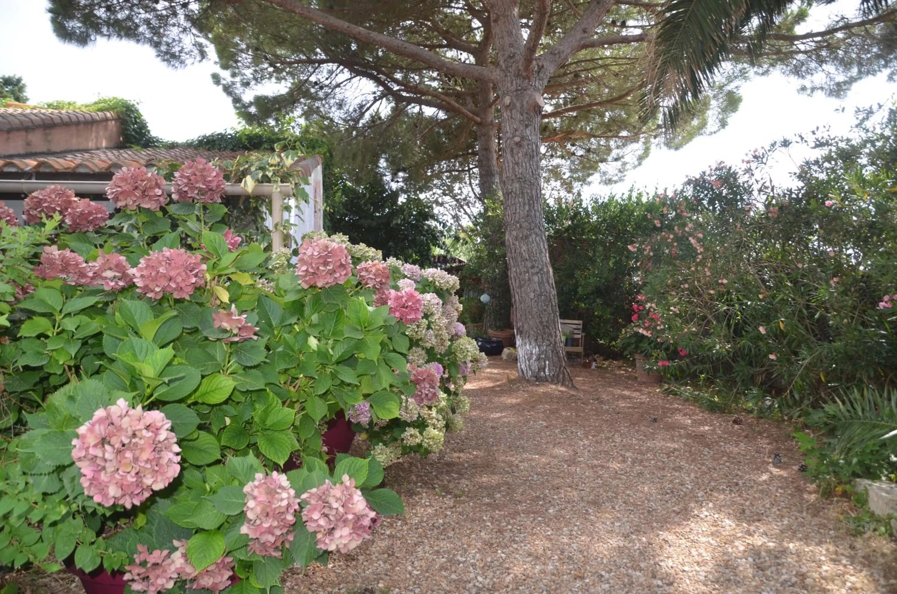 Spring in Gites Chambres d'hotes Mazet du Maréchal Ferrant
