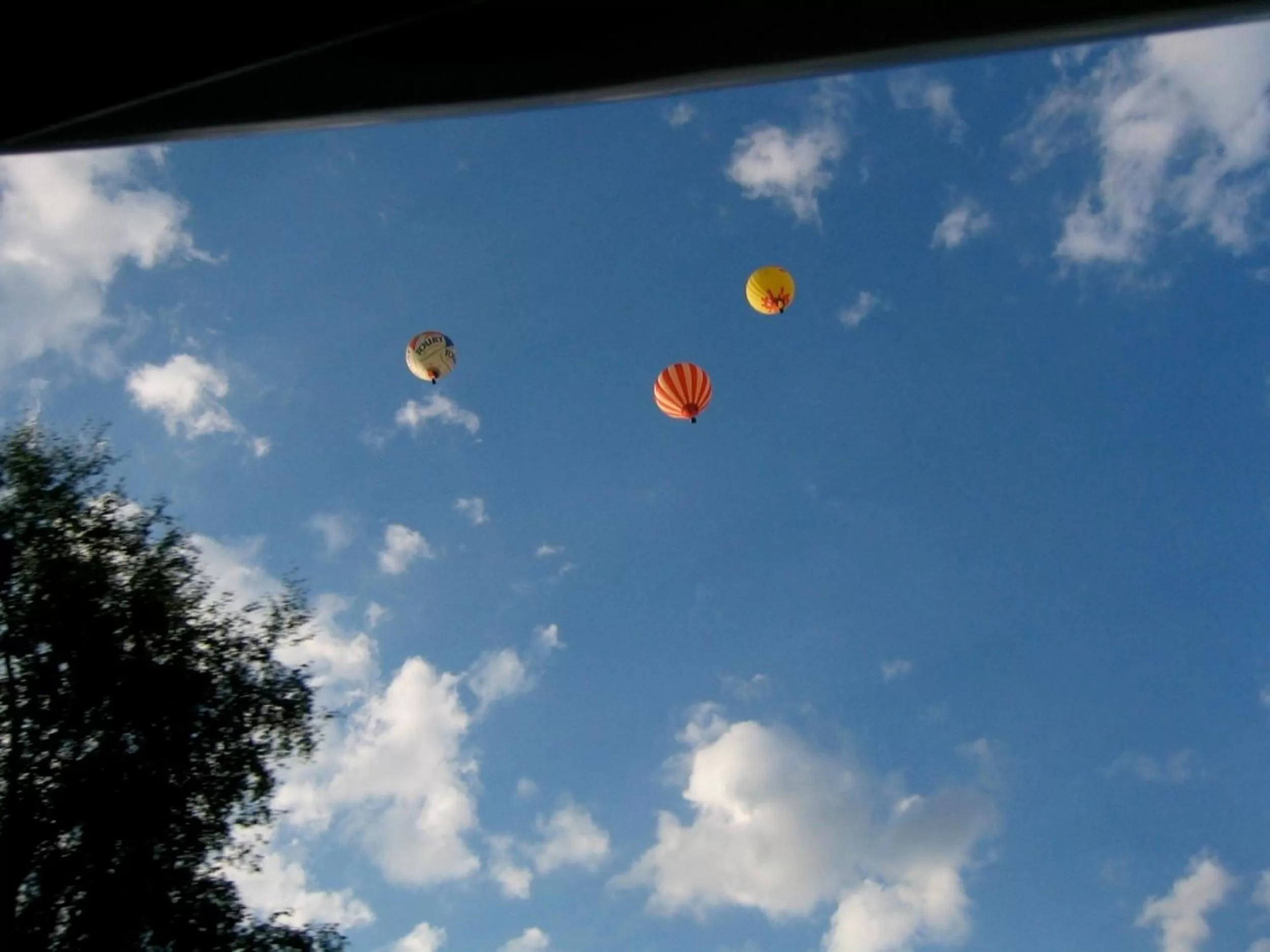View (from property/room) in La Maison du Parc