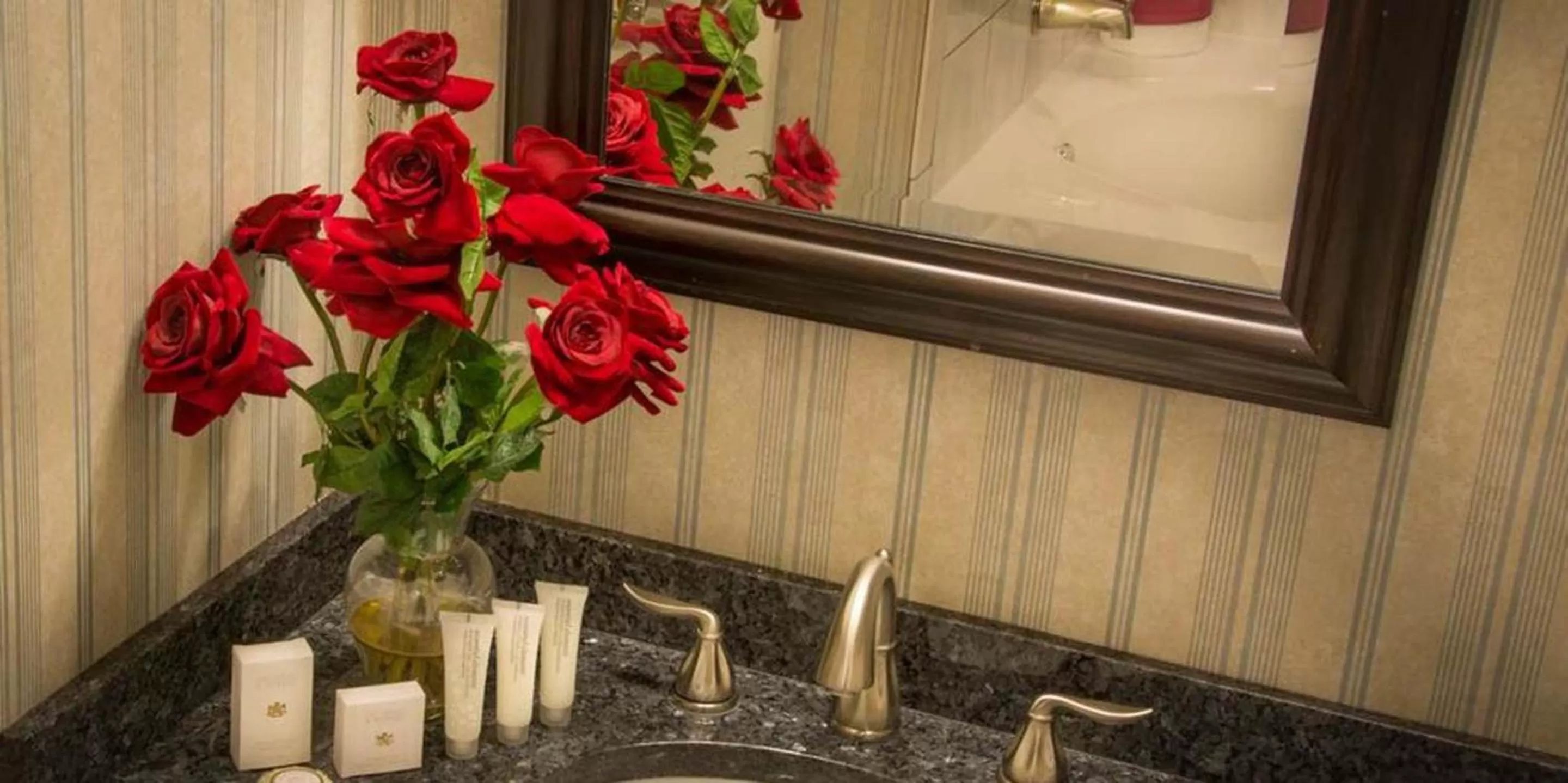 Bathroom in Red Coach Inn