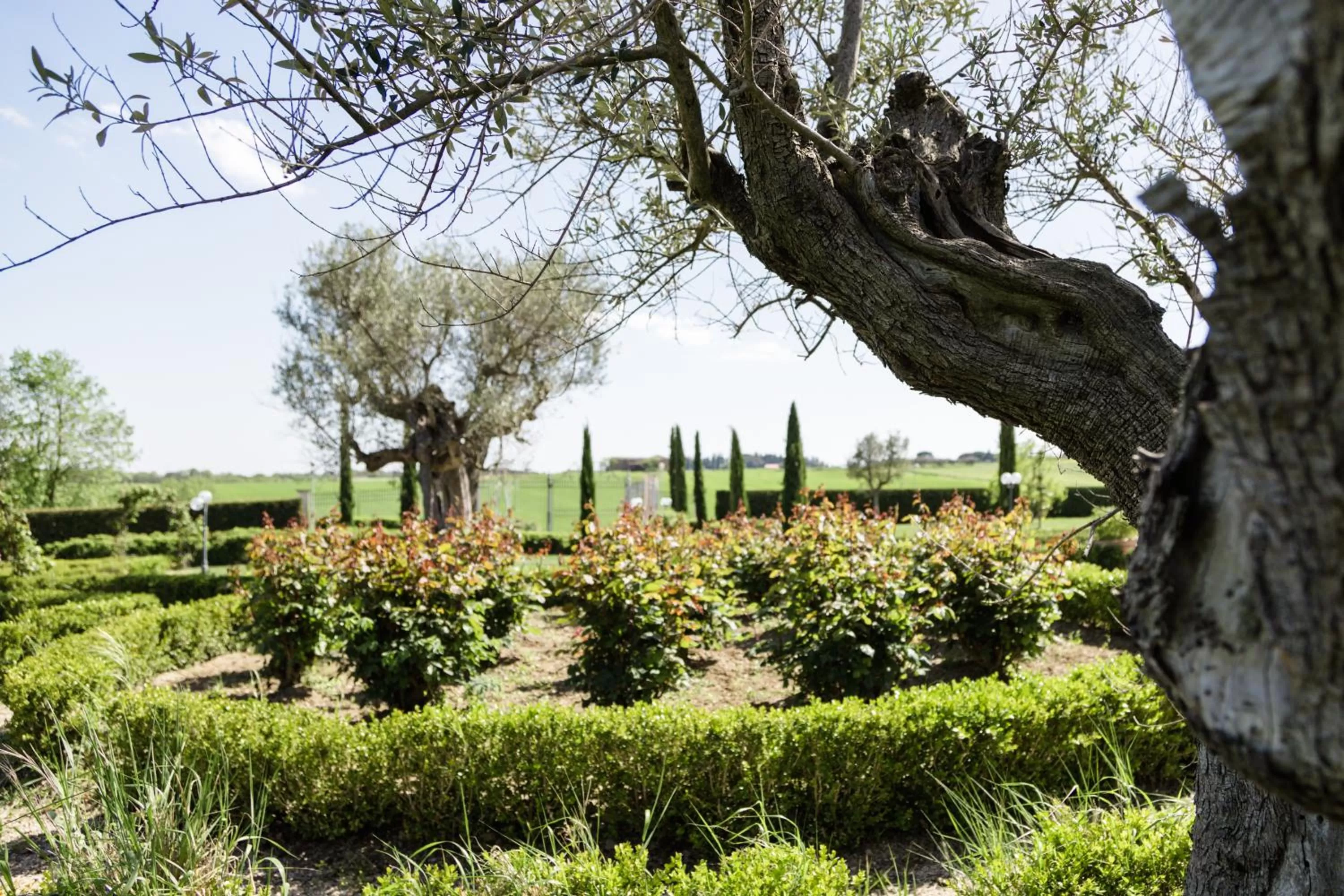 Garden view in Podere San Giuseppe