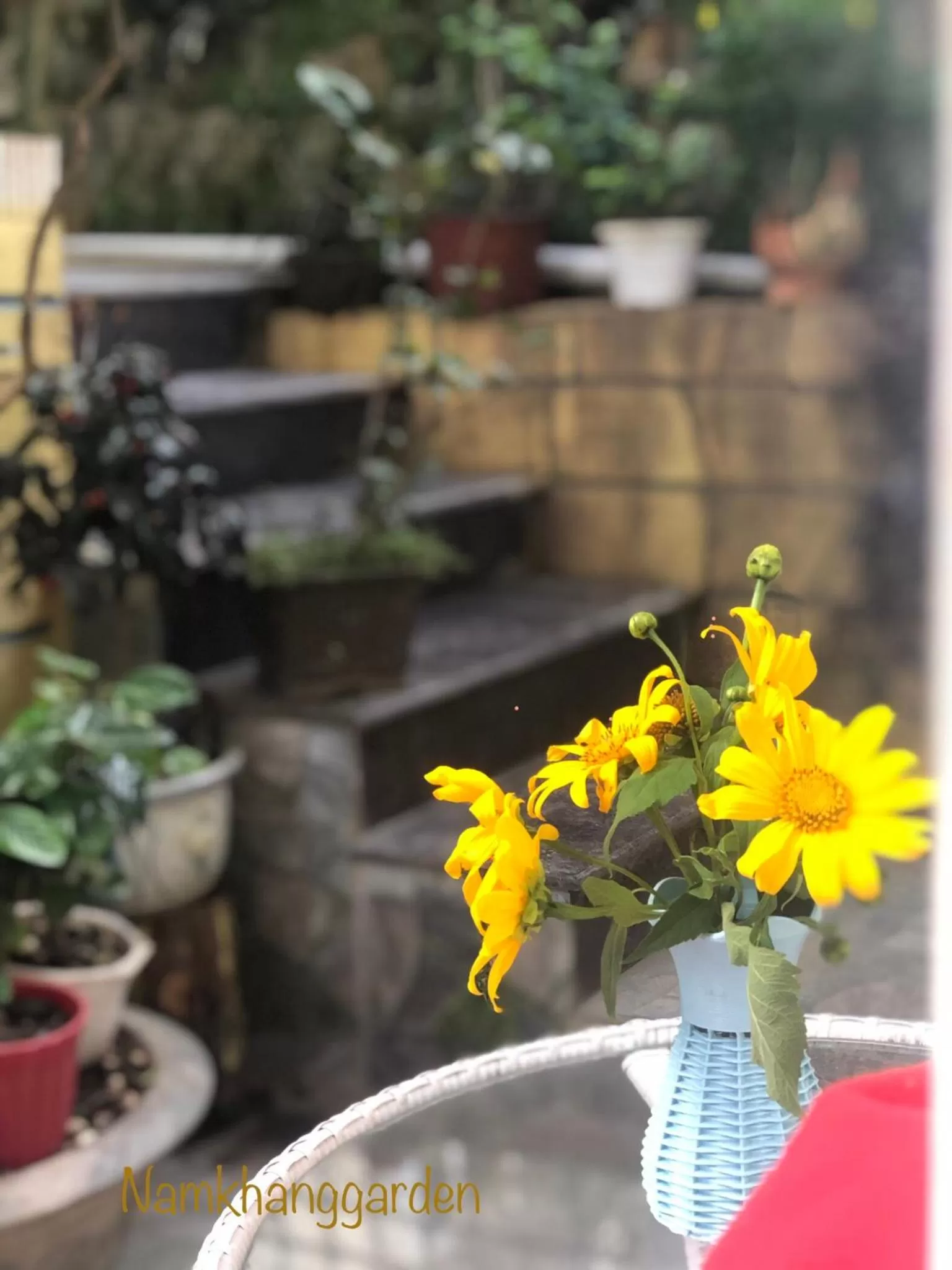 Patio in Villa - Hotel Nam Khang 2 Dalat