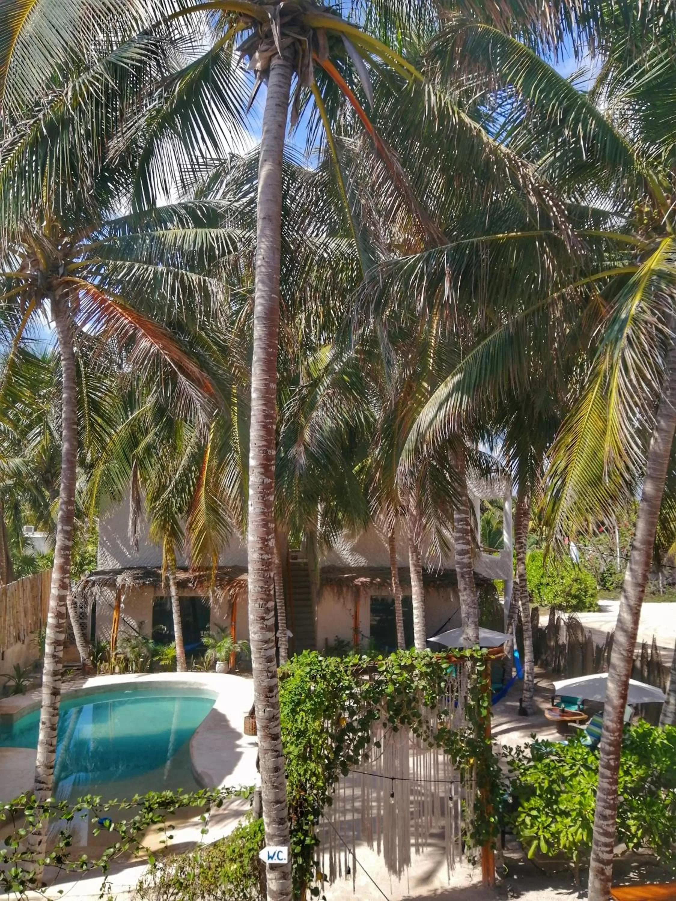 Swimming Pool in Hotel Boutique Can Cocal El Cuyo