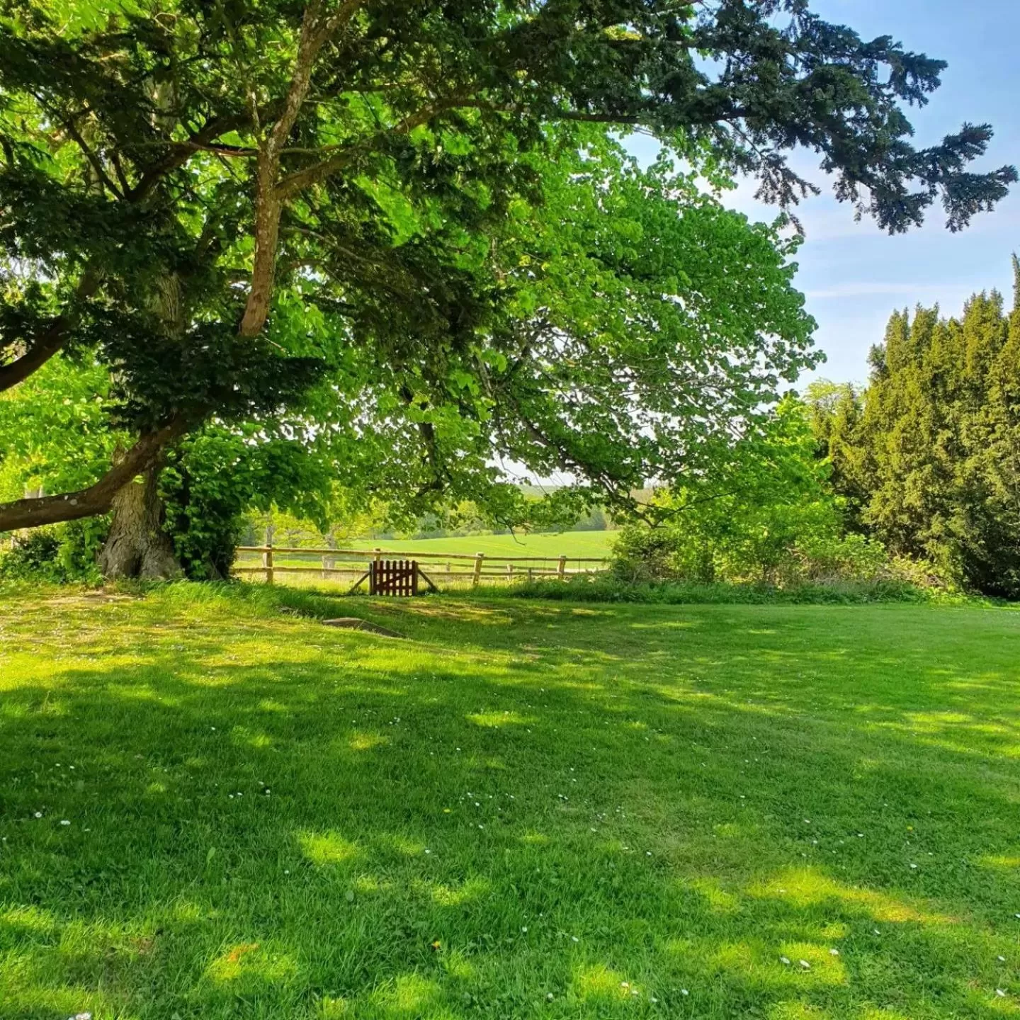 Garden view in Edelsminde Bed & Breakfast