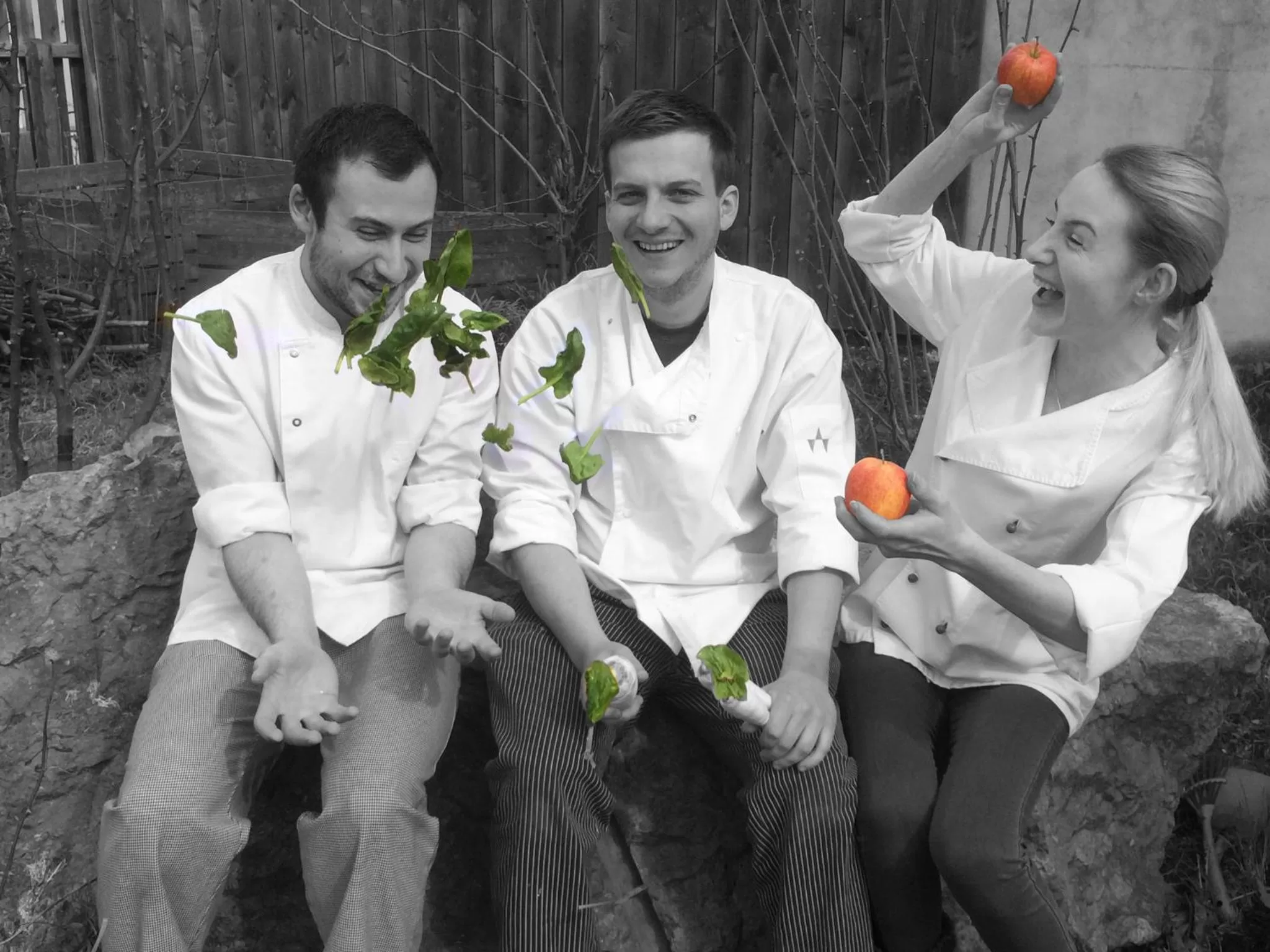 Area and facilities in Gasthof Herrnhaus