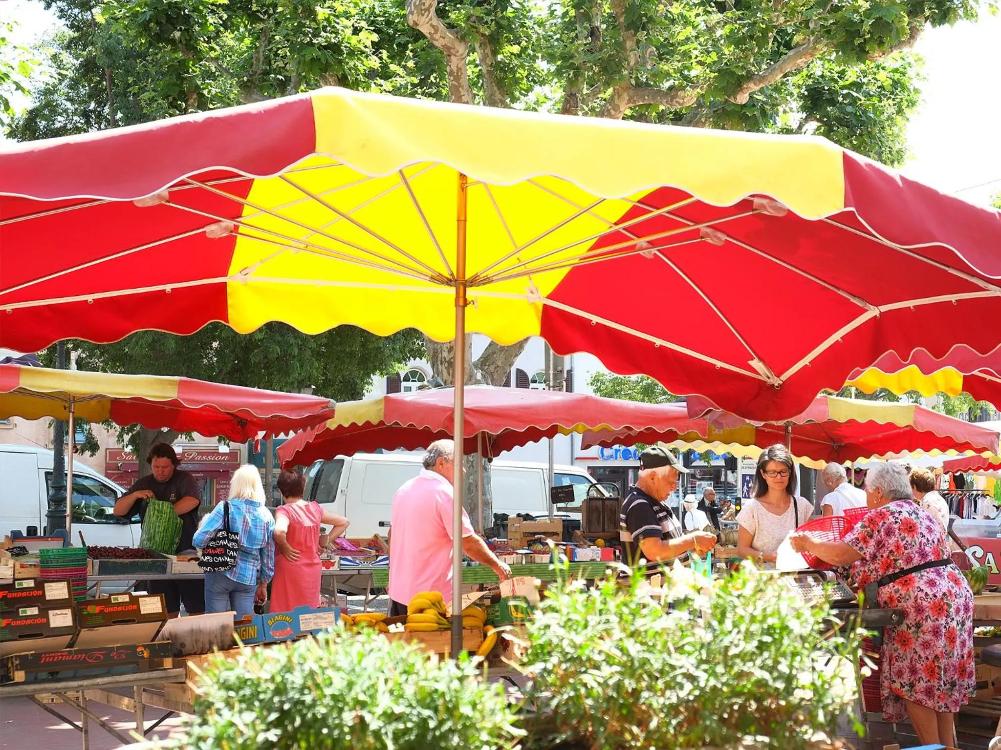 Area and facilities in Hôtel CASABELLA Cannes Mouans Sartoux
