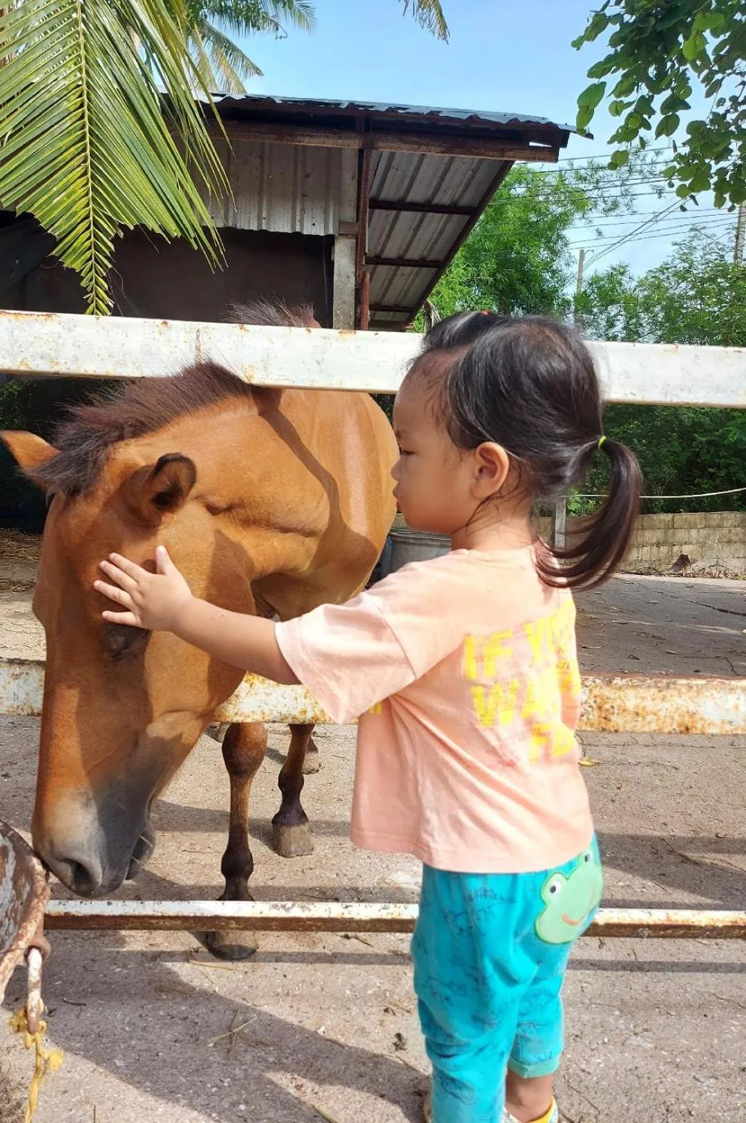 Scenic Riverside Resort