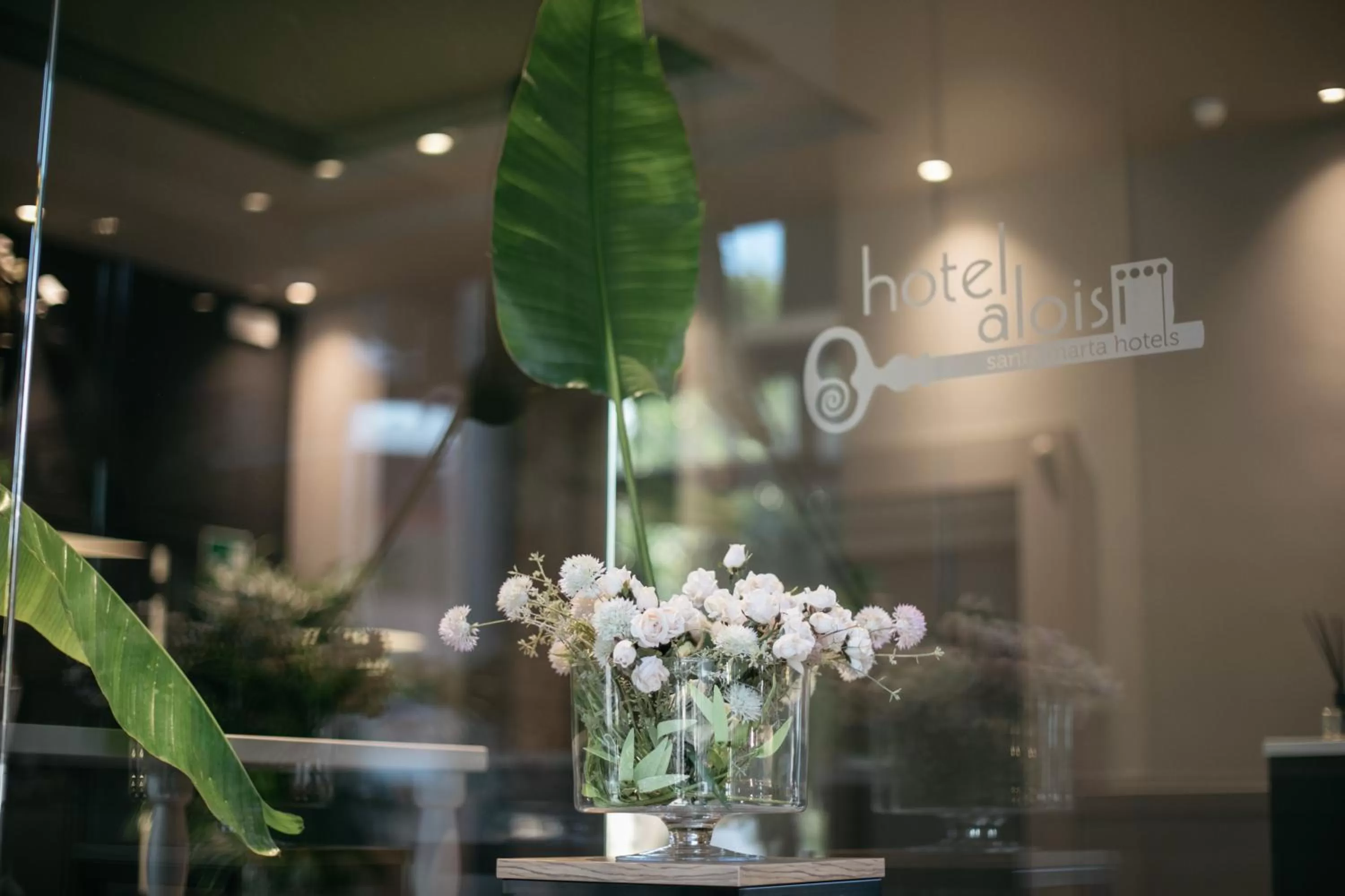 Logo/Certificate/Sign in Hotel Aloisi