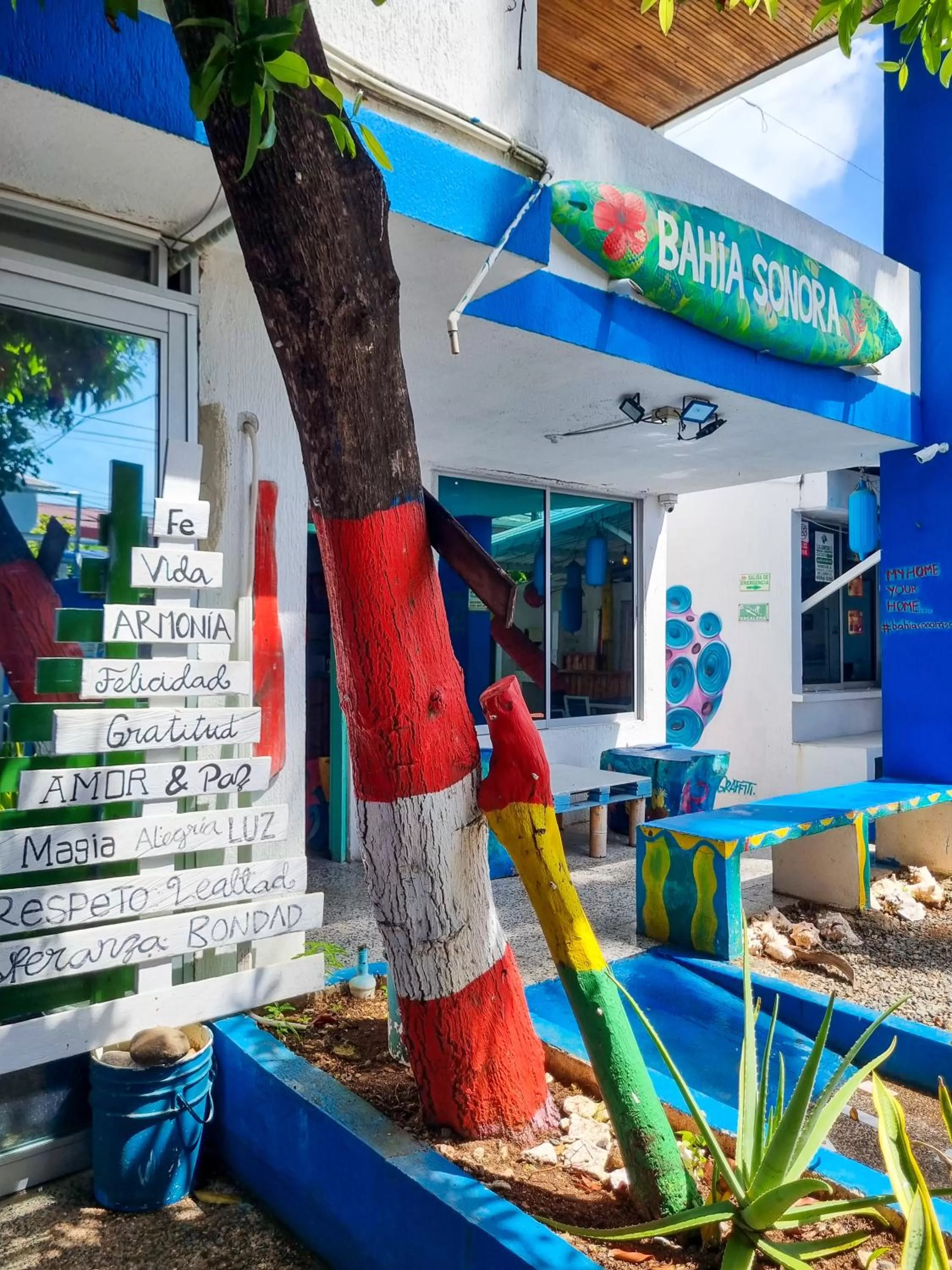 Garden in Posada Cultural Bahia Sonora