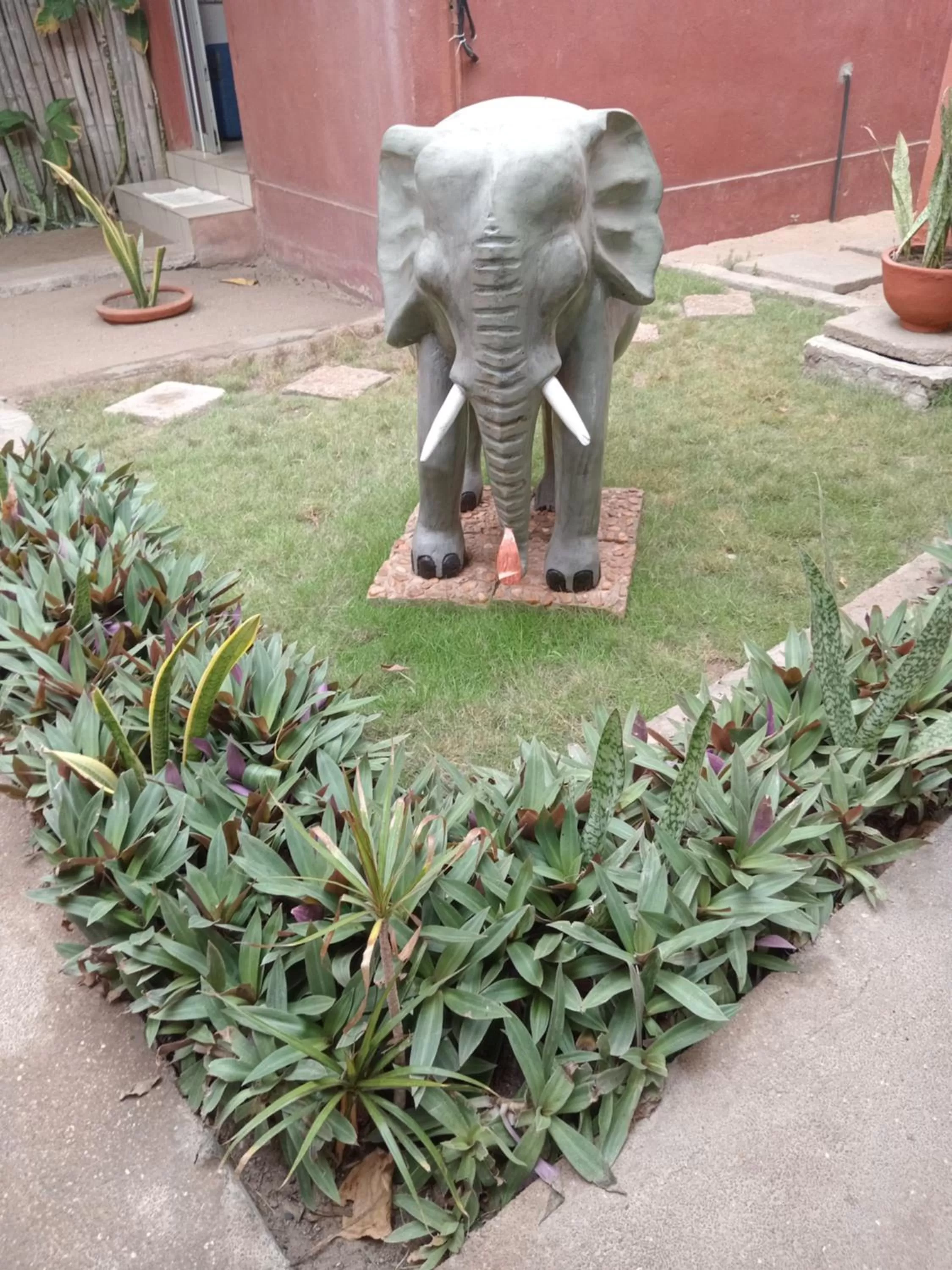 Garden in CASE de ROBINSON