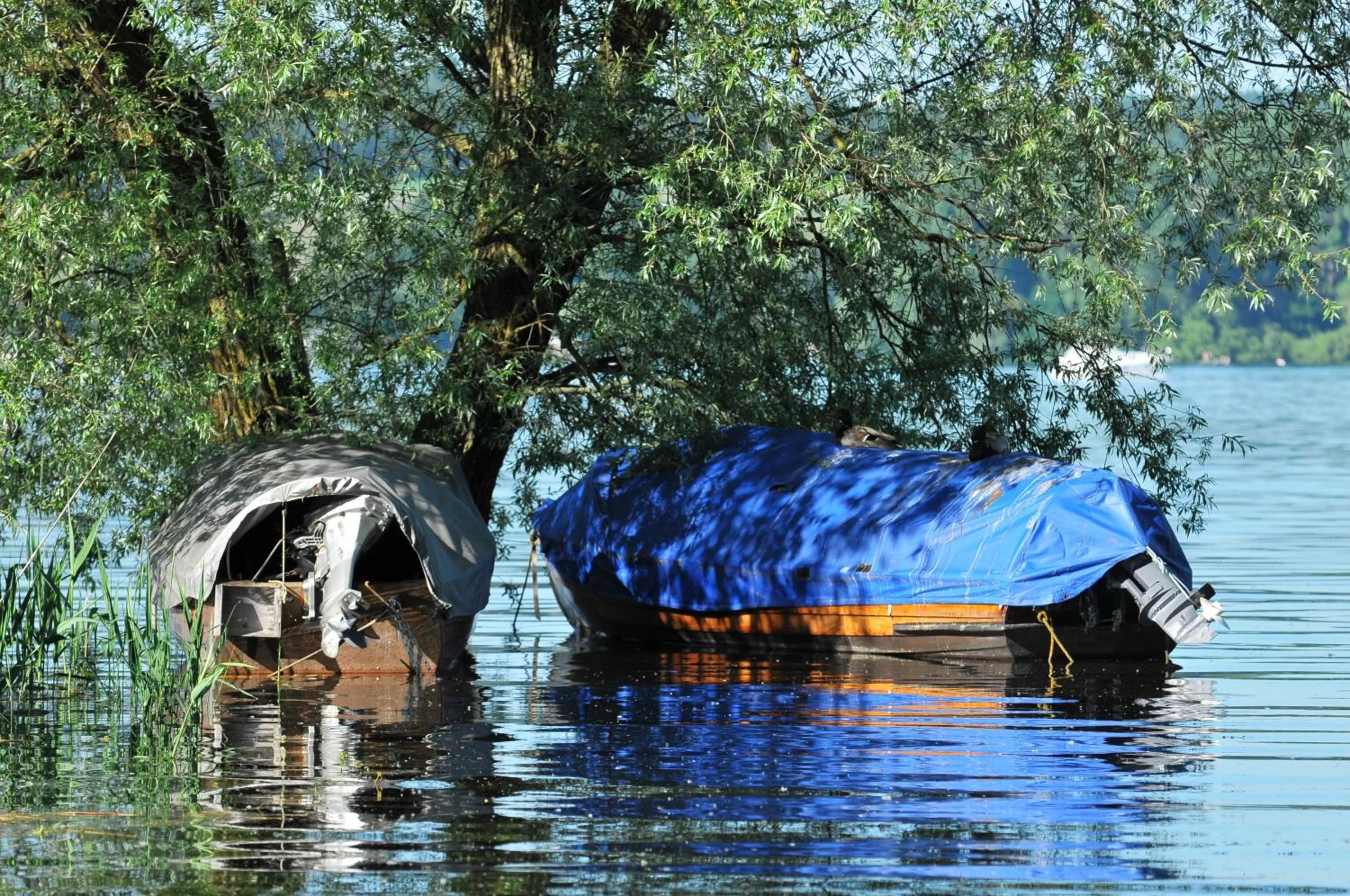 Area and facilities in Hotel mein inselglück