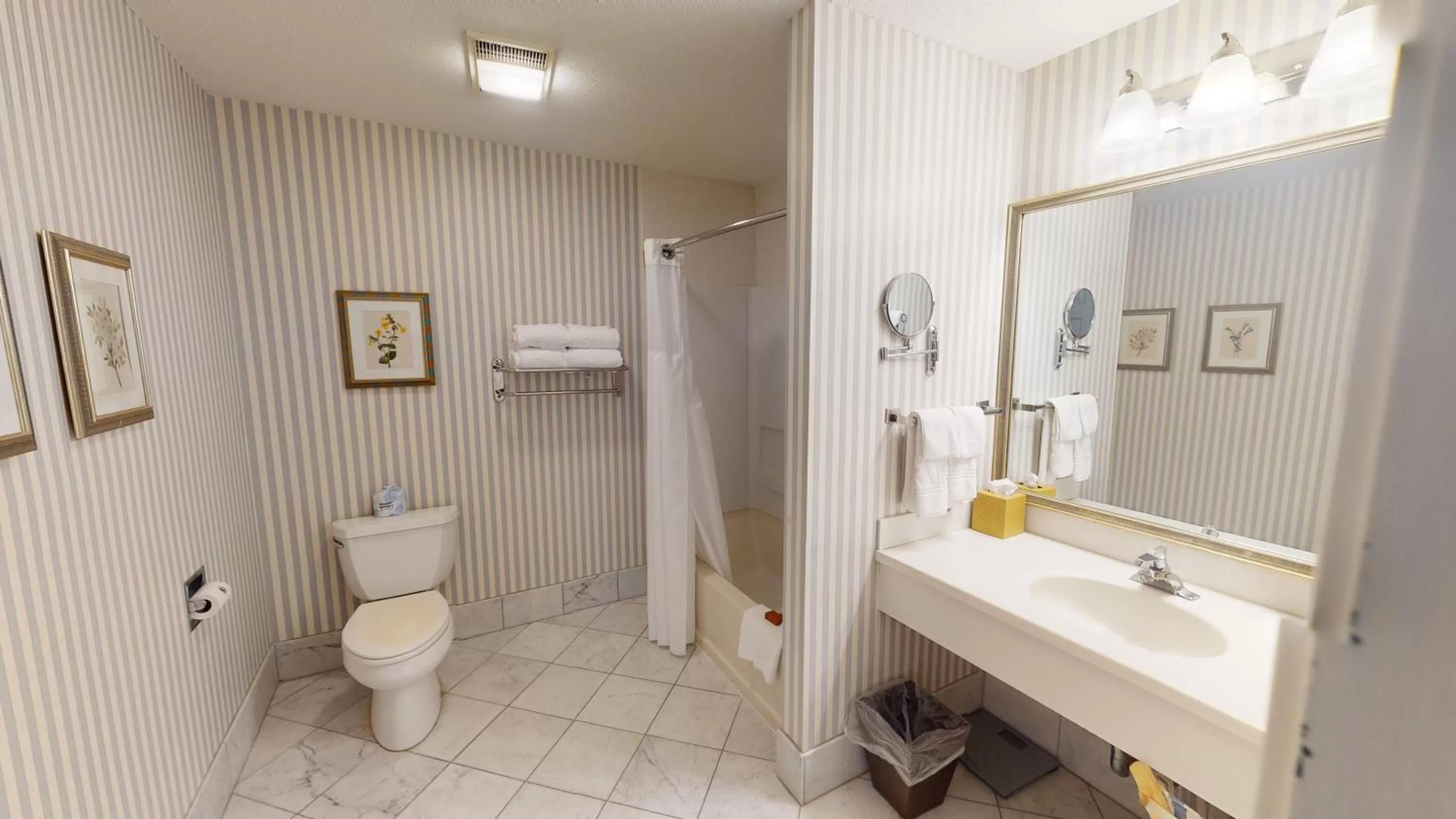 Bathroom in The Farmington Inn and Suites