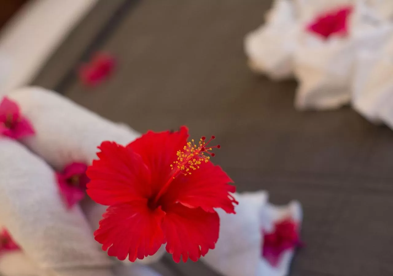 The Seyyida Hotel and Spa