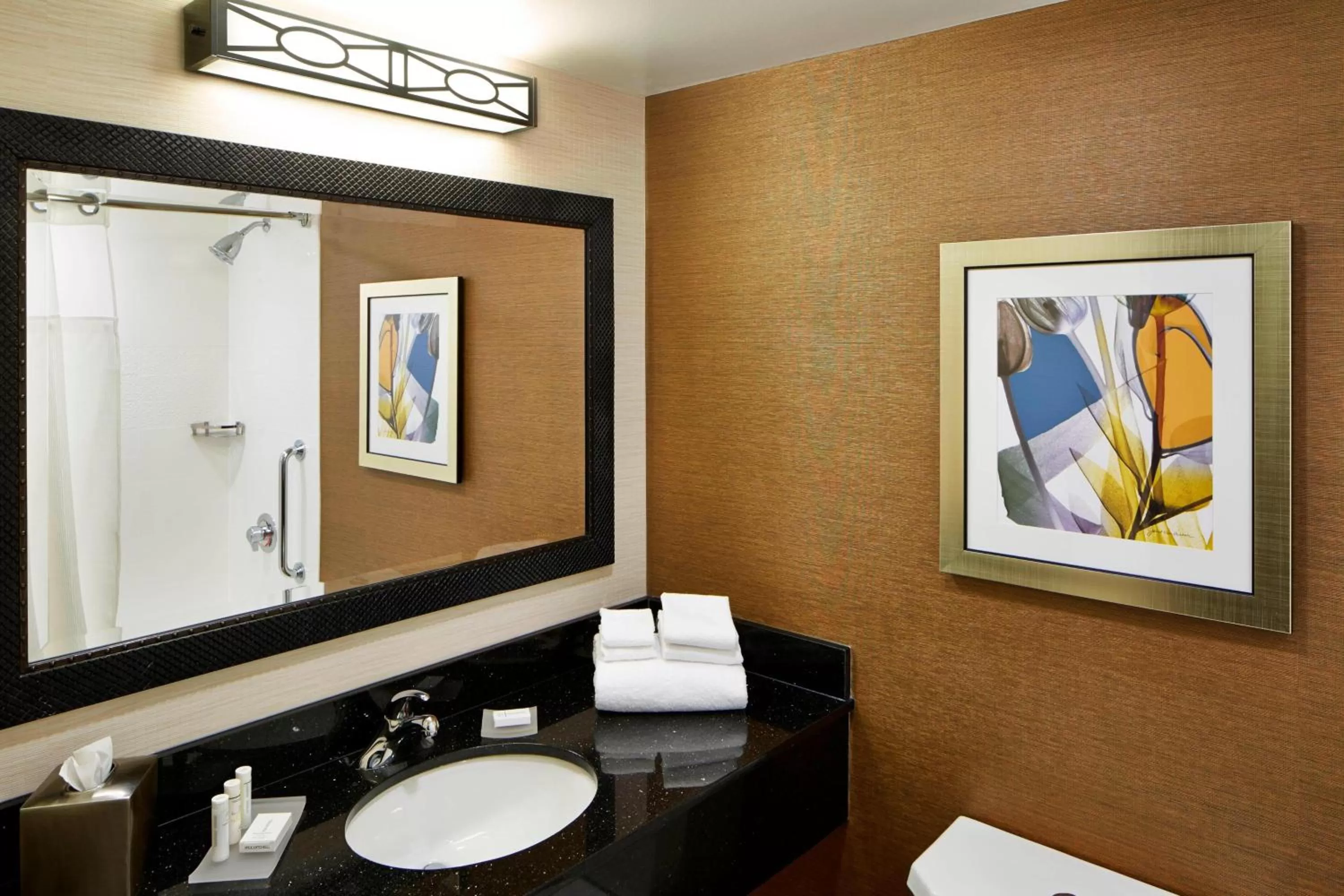 King Room with Adapted Tub - Mobility Accessible in Fairfield Inn by Marriott Rochester East