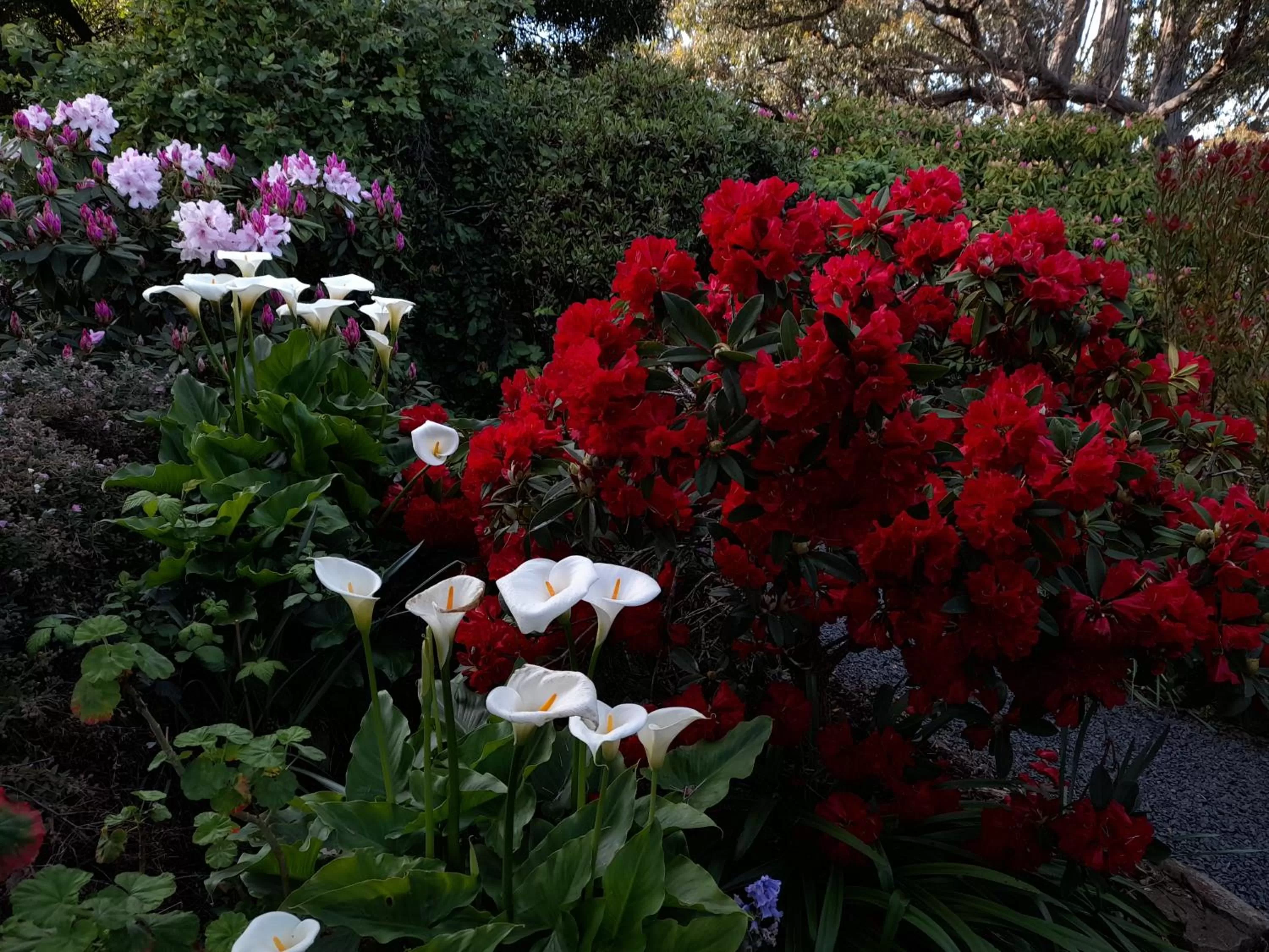 Hillside Bed and Breakfast