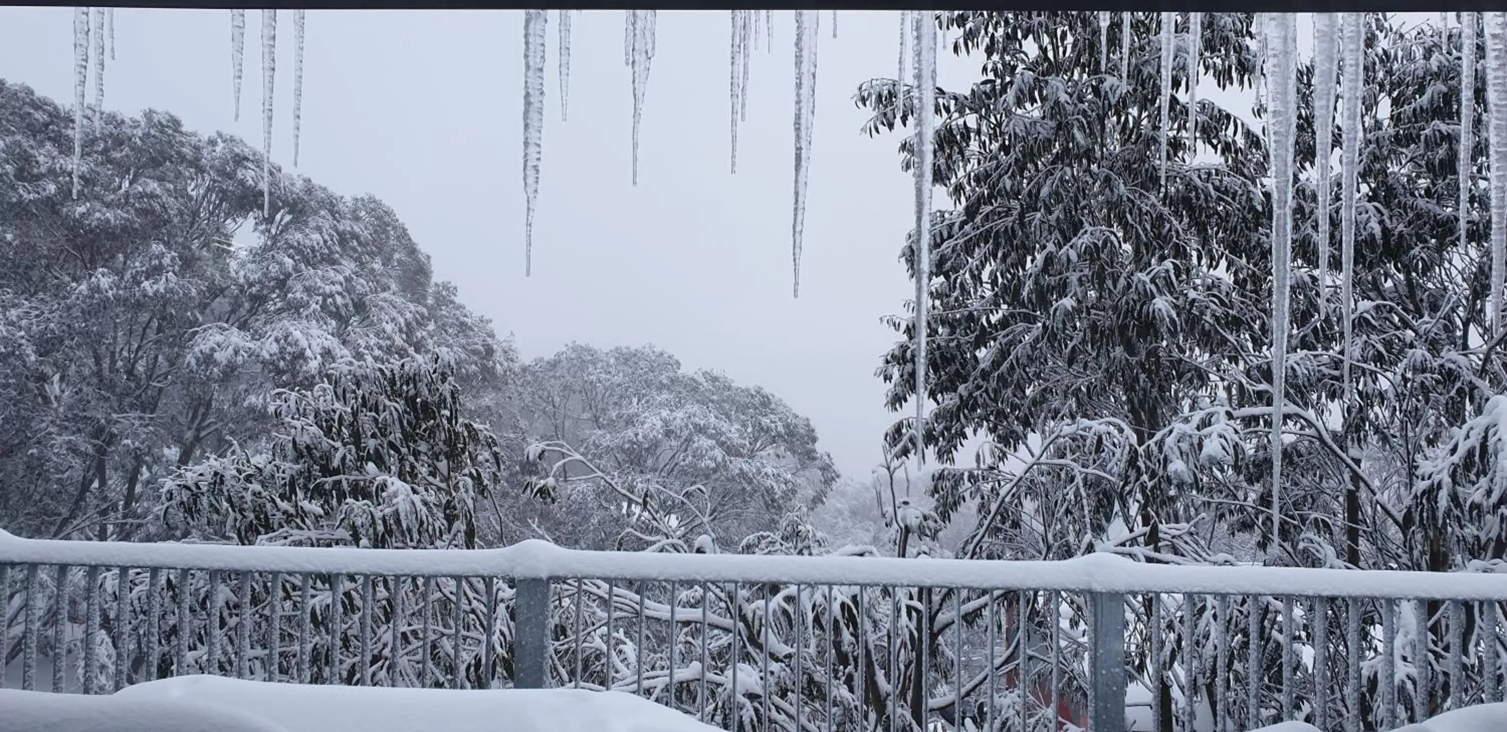 Deluxe Apartment 24 in Cedarwood Apartments Deluxe Apartment 24 in Cedarwood Apartments