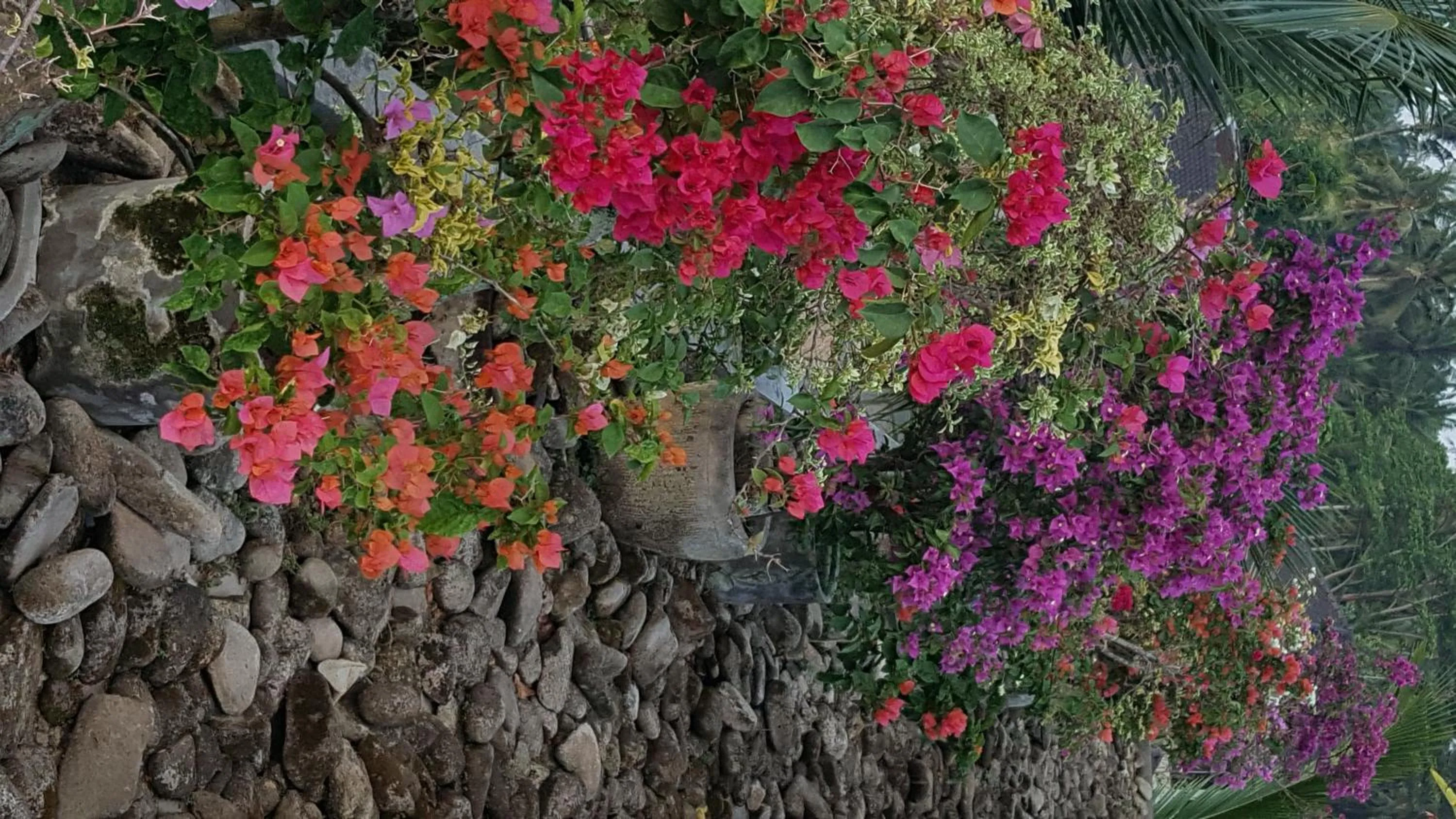 Garden in Ubud Wana Resort