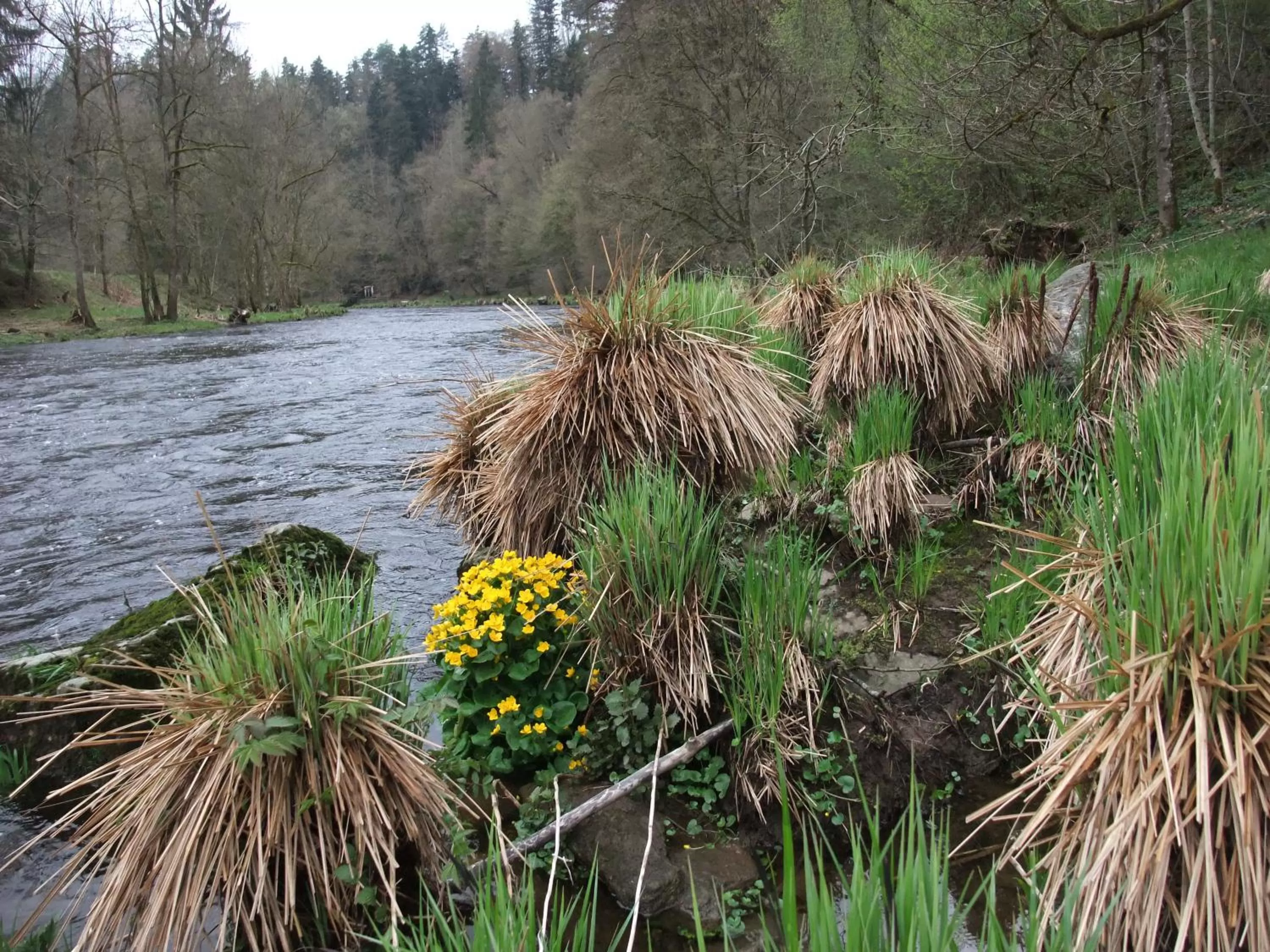 Nearby landmark in Schätzlhof OHG
