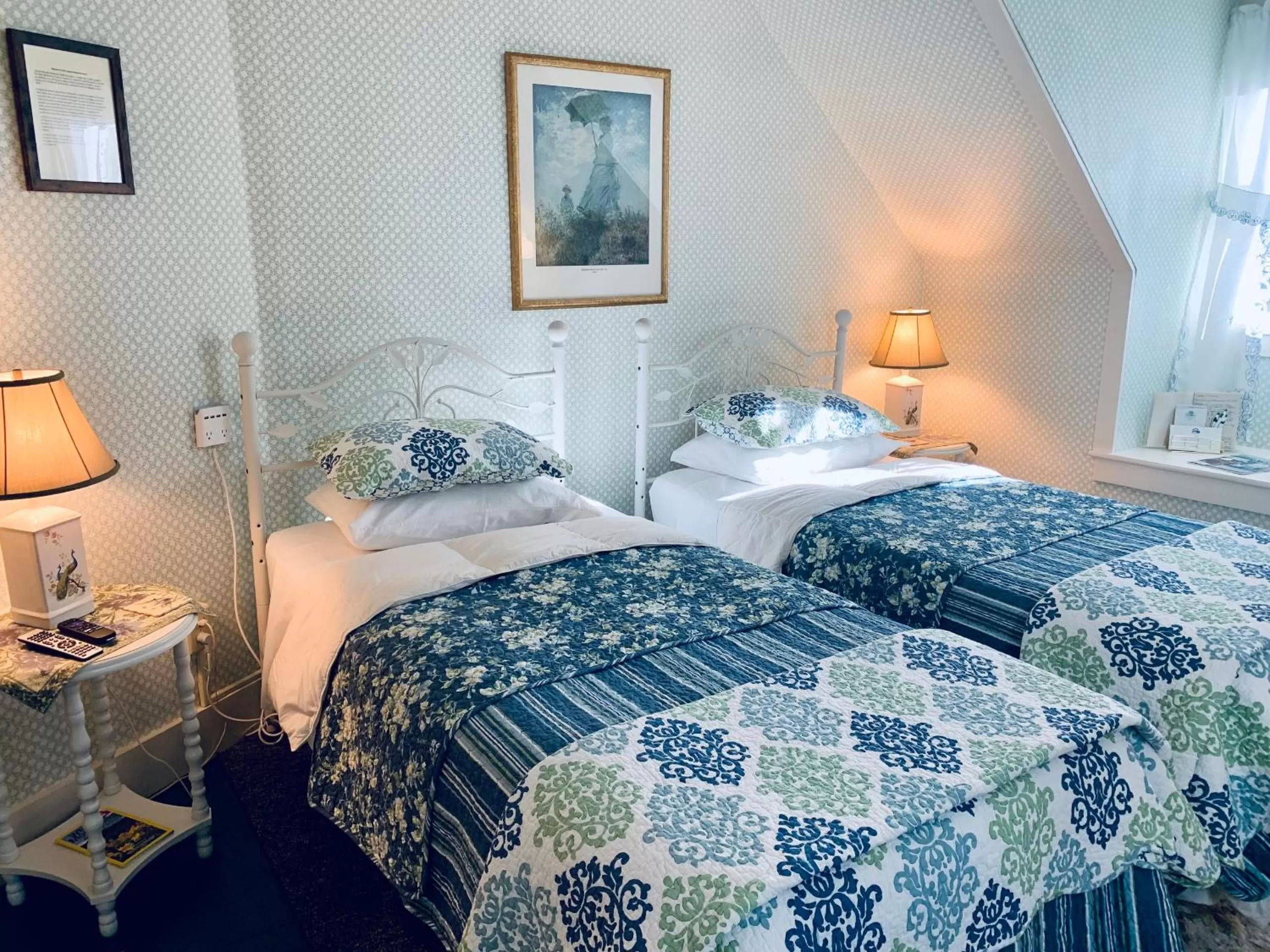 Twin Room with Private Bathroom in Buttonwood Inn on Mount Surprise