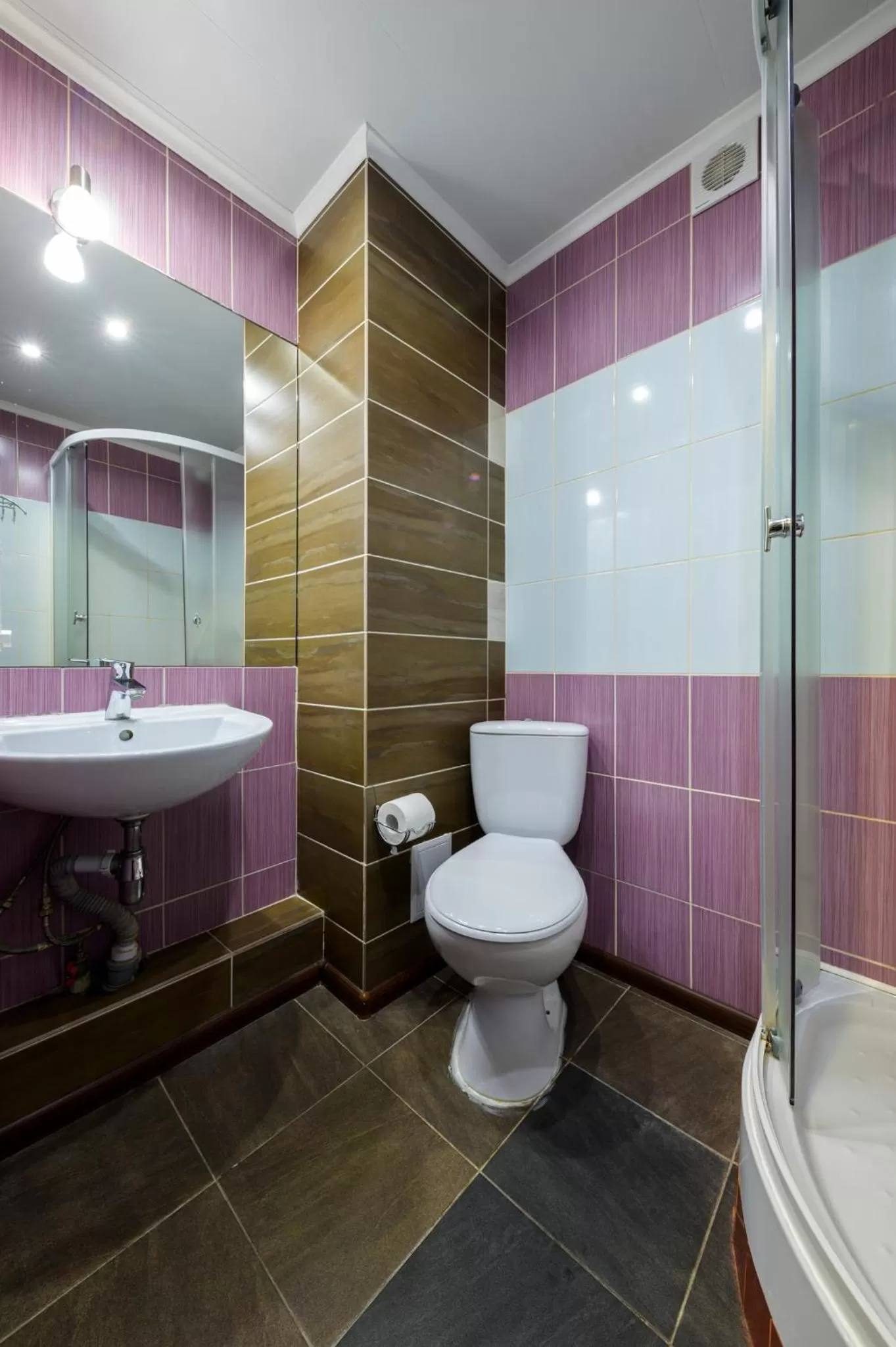 Shower in Hotel Nivki