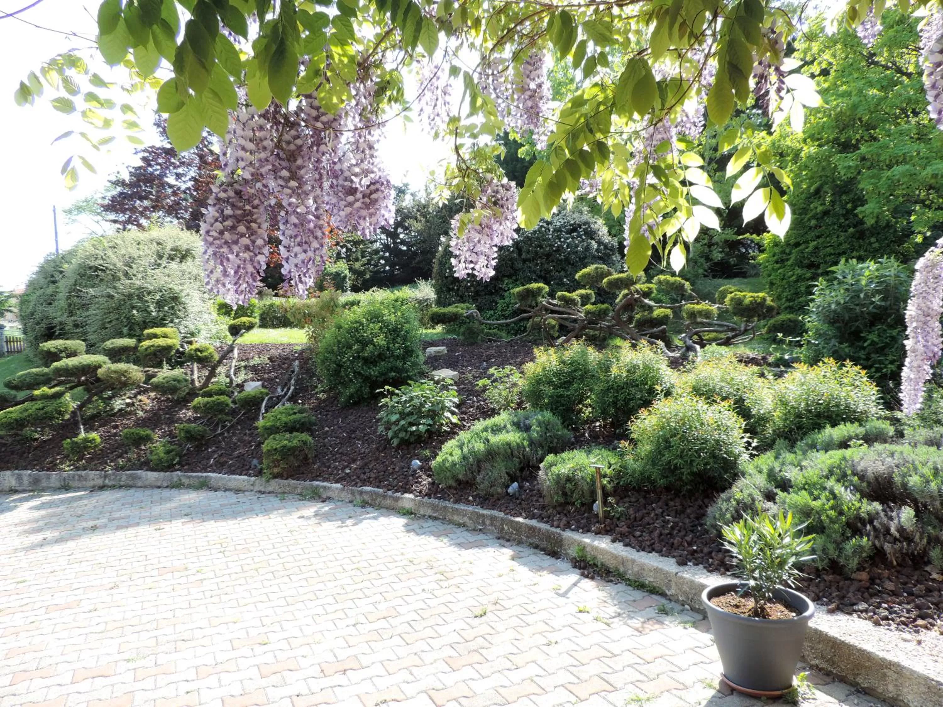 Day in The Originals City, Hôtel La Siesta, Annonay Est