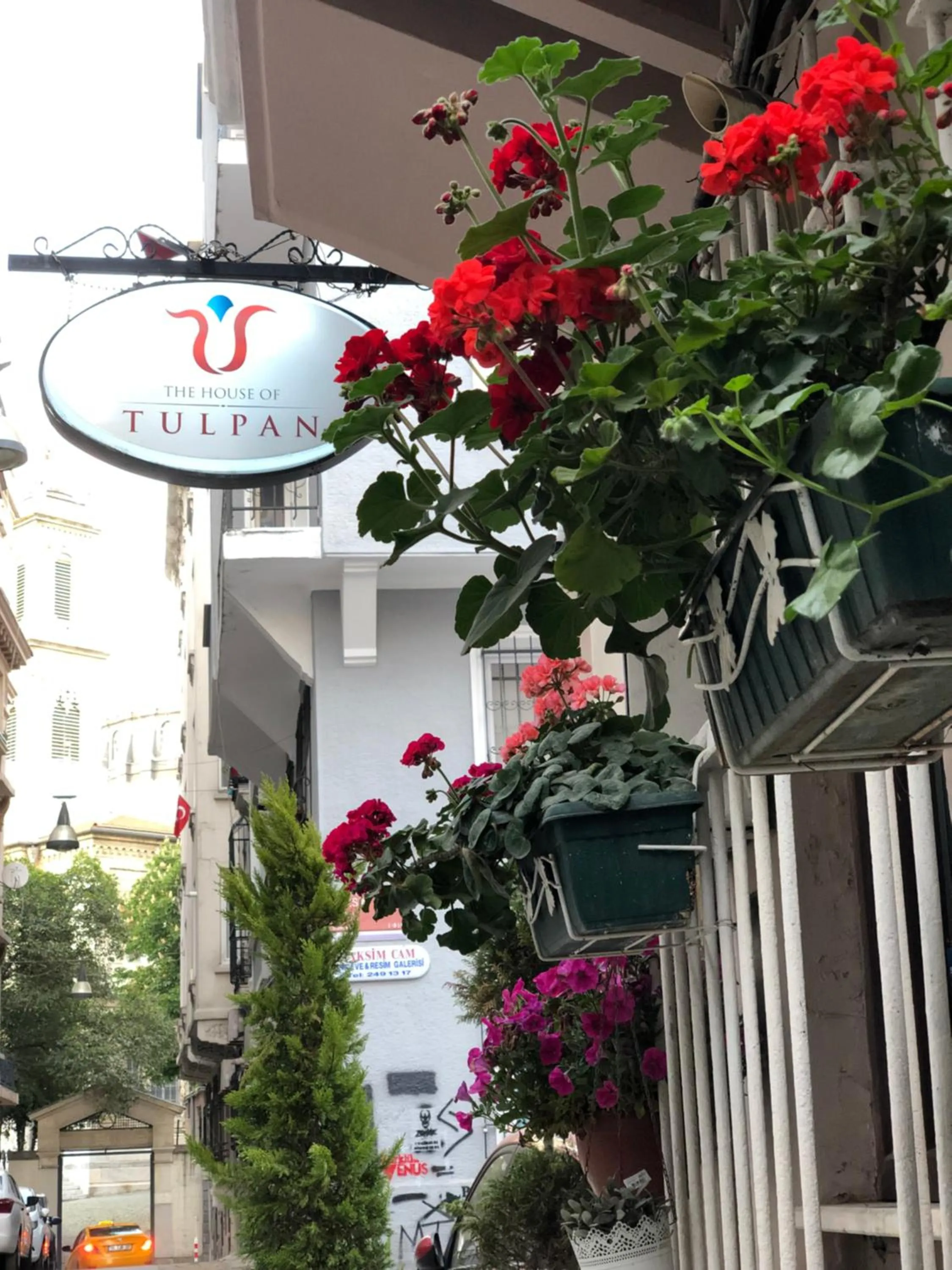 Property building in The House of Tulpan