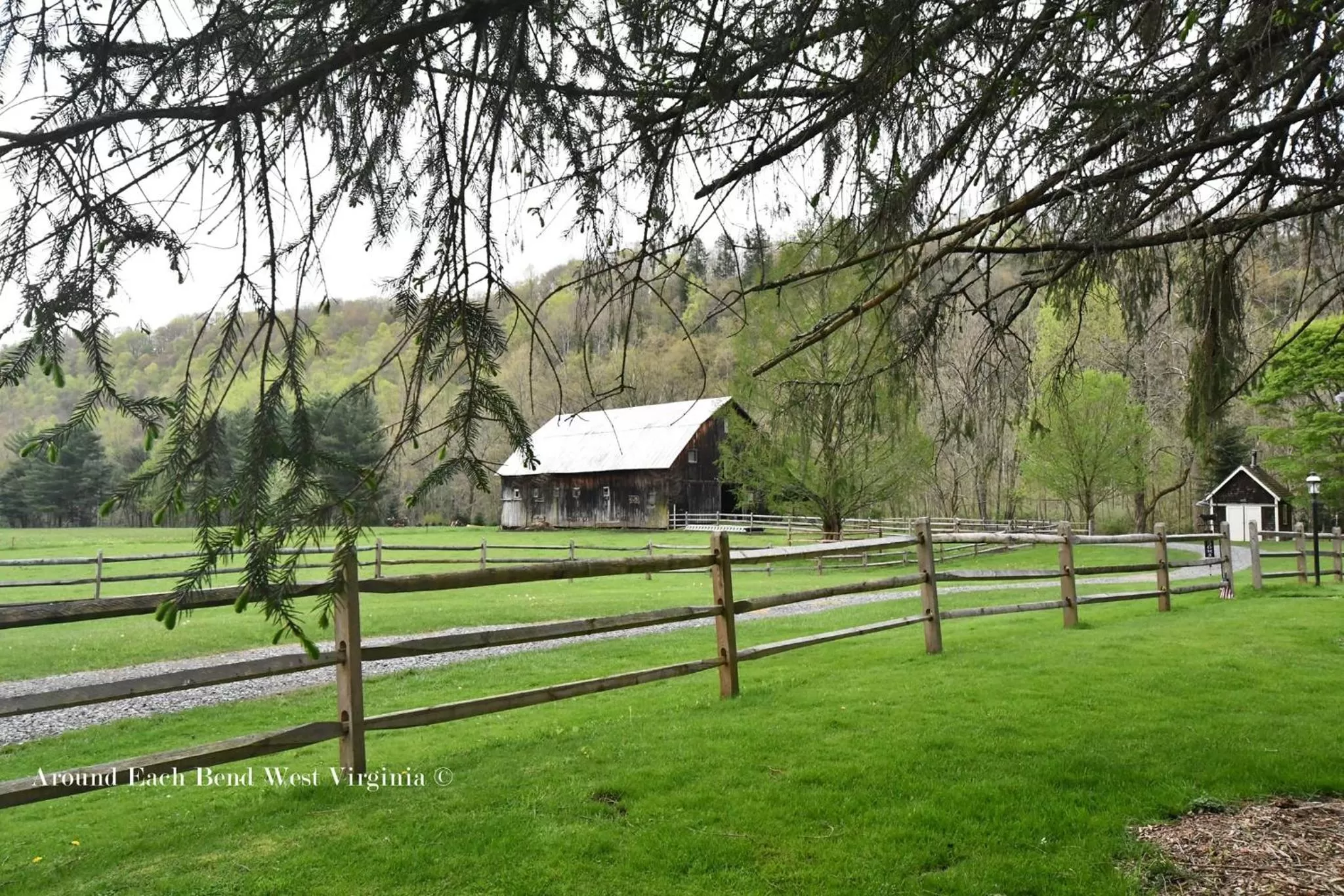 Natural landscape in Laurel River Club Bed & Breakfast or LRCBNB