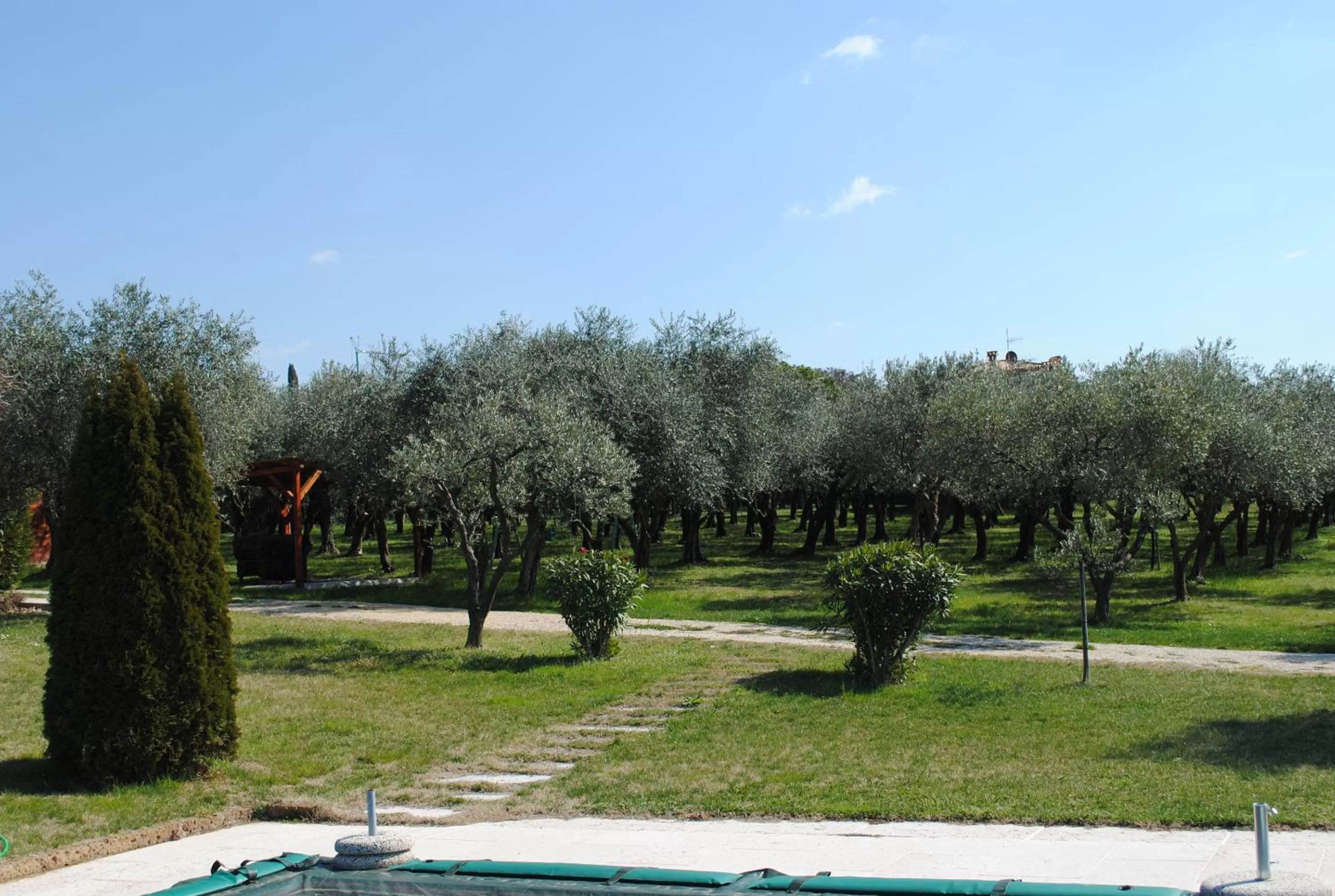 Garden in AGRITURISMO MELOGRANO D'ORO