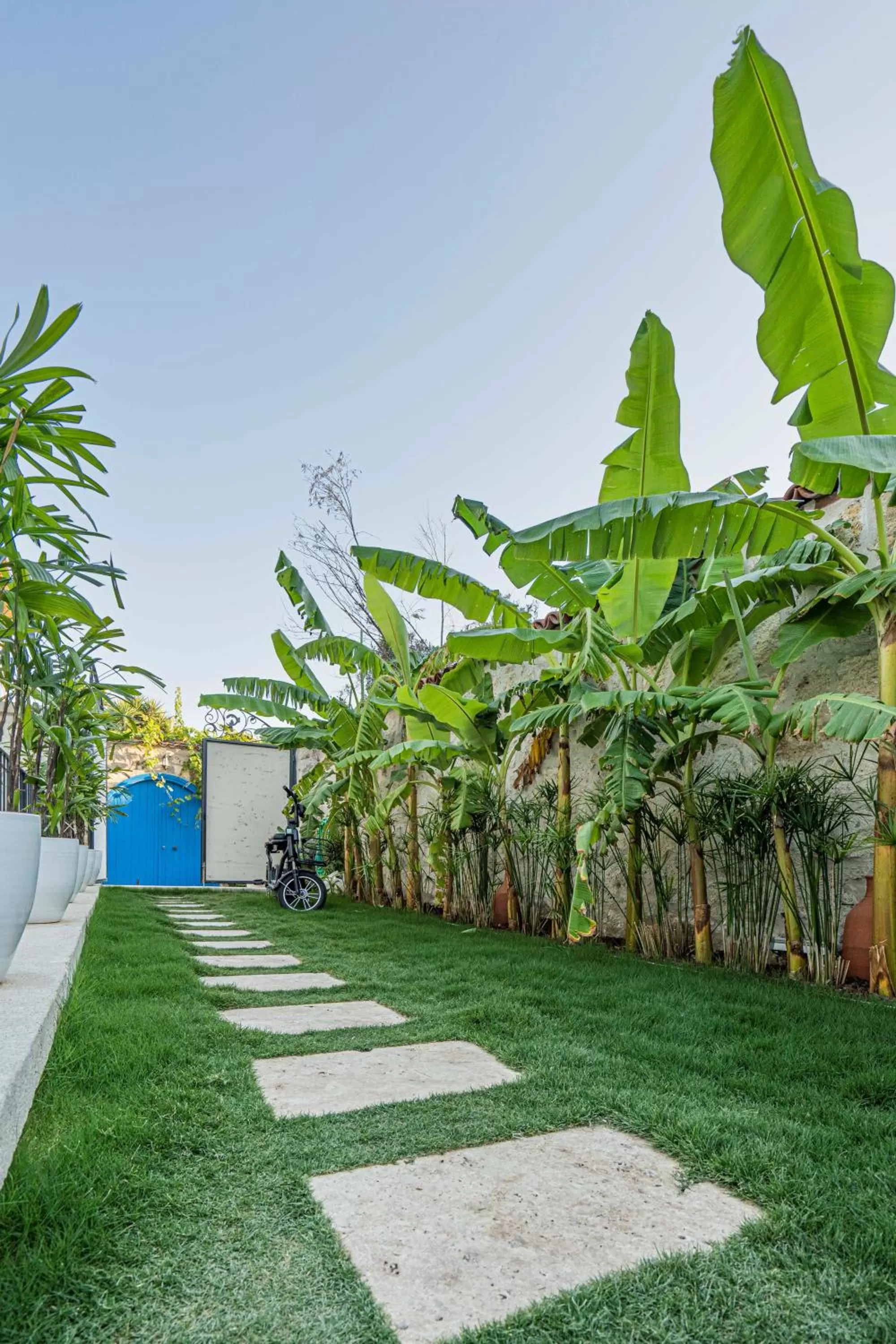 Garden in Voger Alaçatı Köyiçi