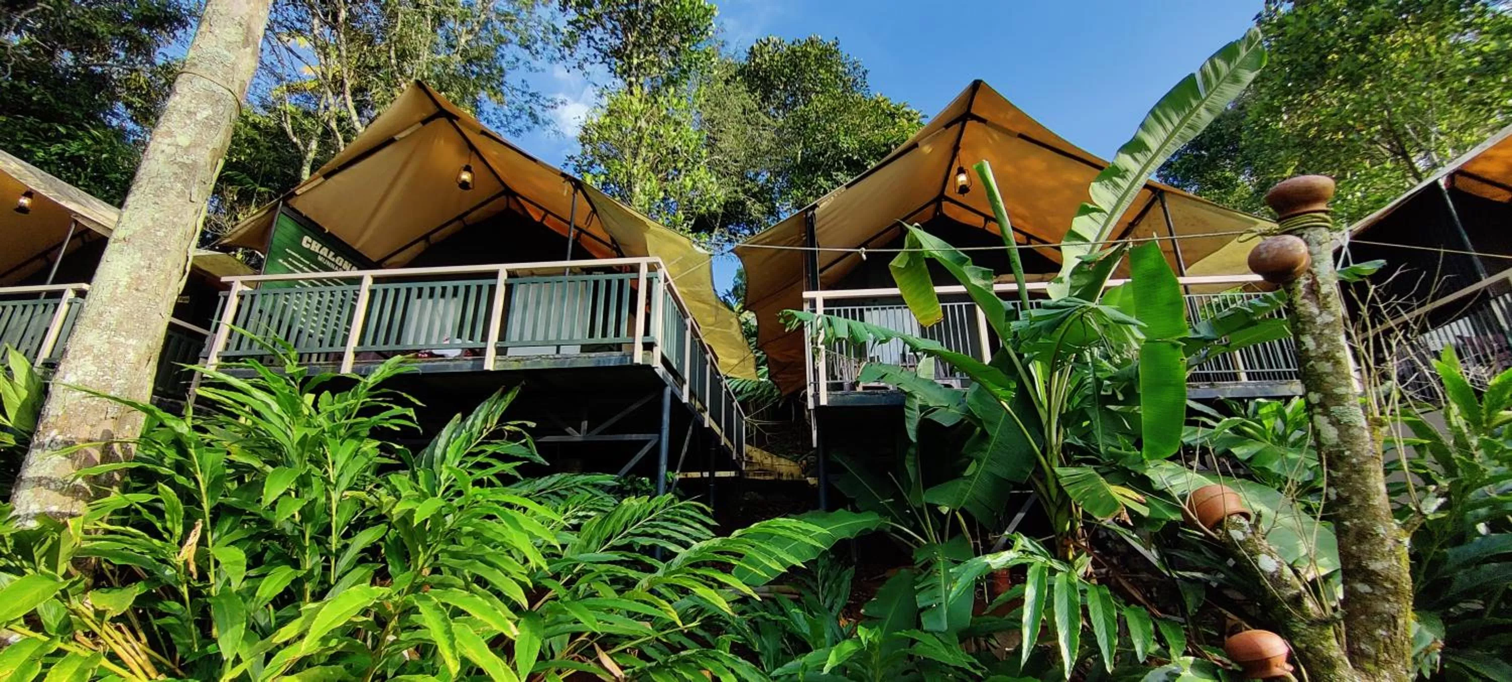 Property Building in Chalona Jungle Vibe