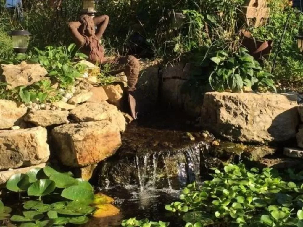 Property building, Natural Landscape in Dragonfly Bed and Breakfast