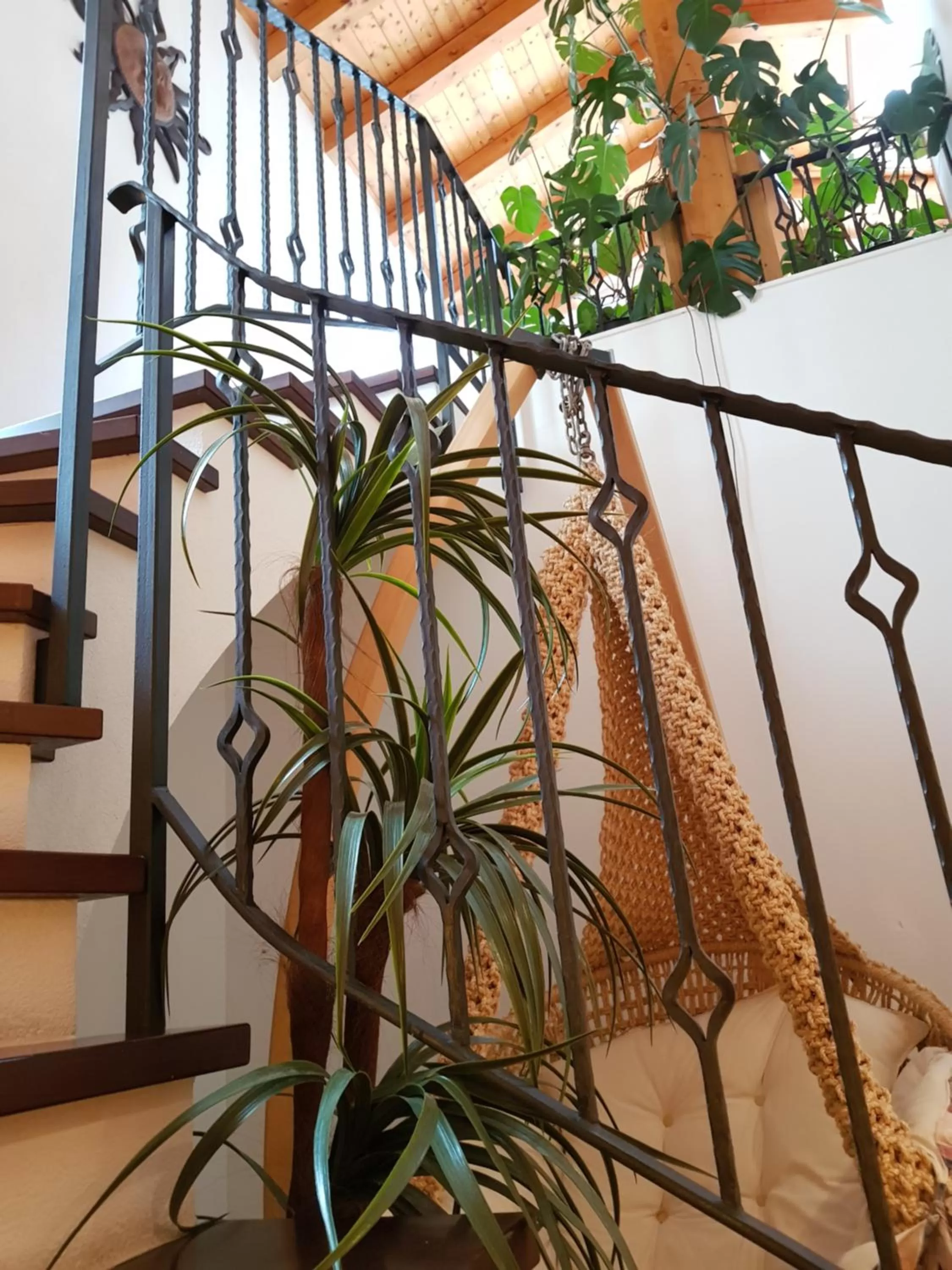 Spa and wellness centre/facilities in Hotel Europa Guest House