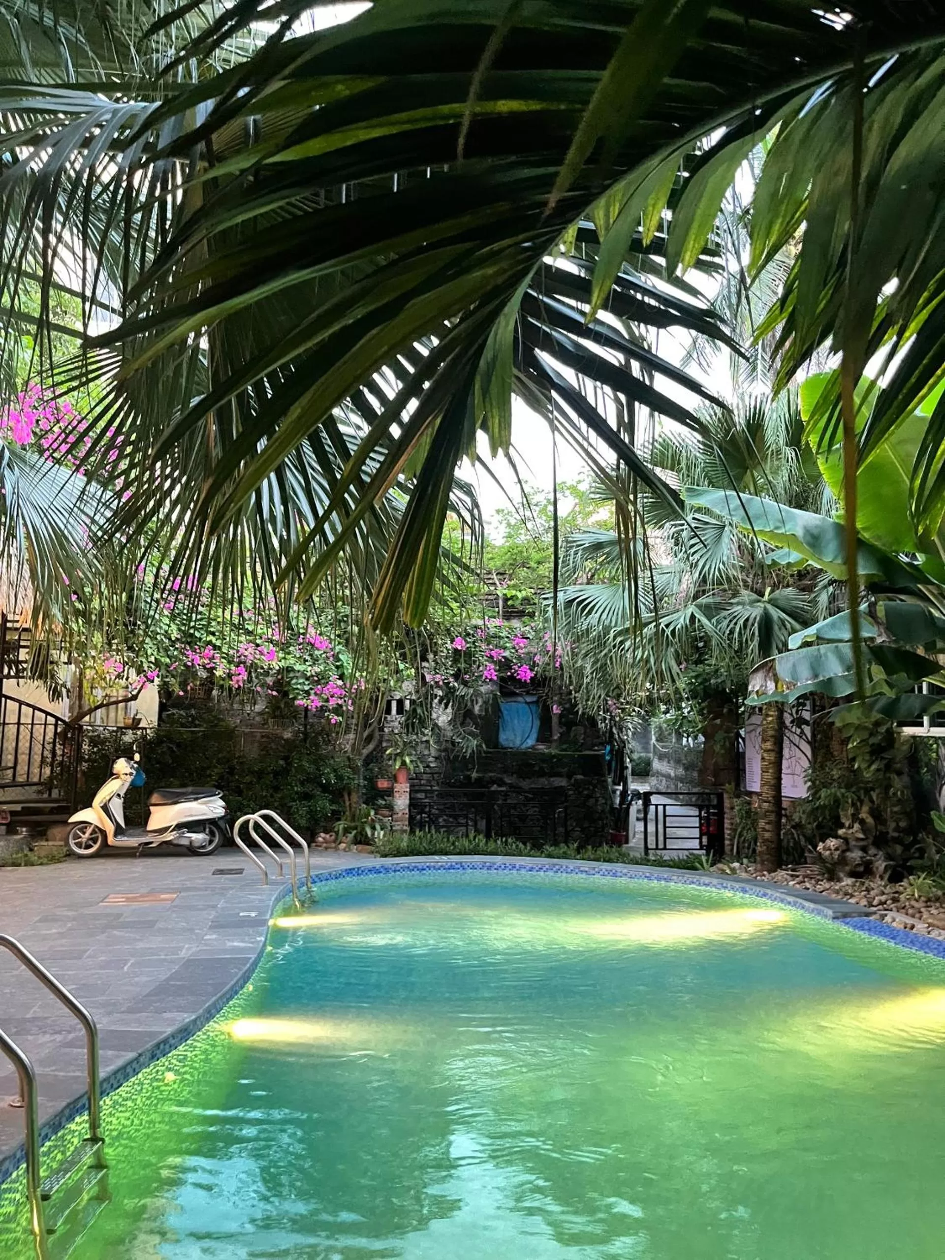 Pool view in Tam Coc Full House Homestay