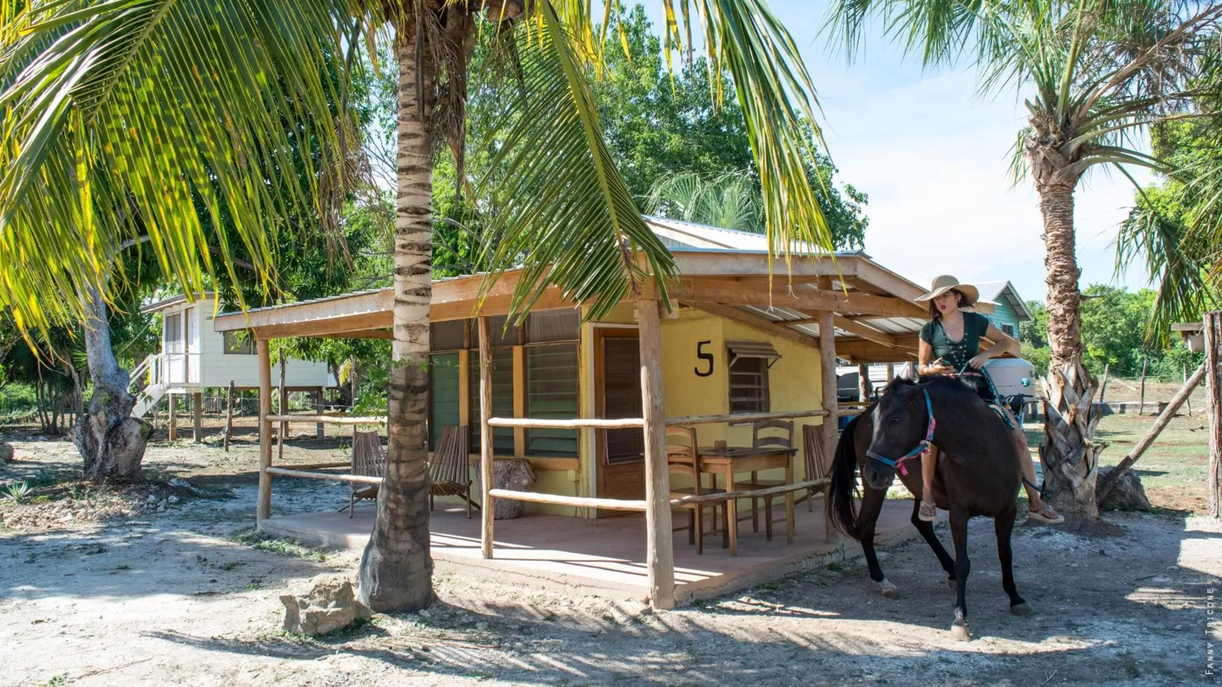 Garden in Horse Cottage
