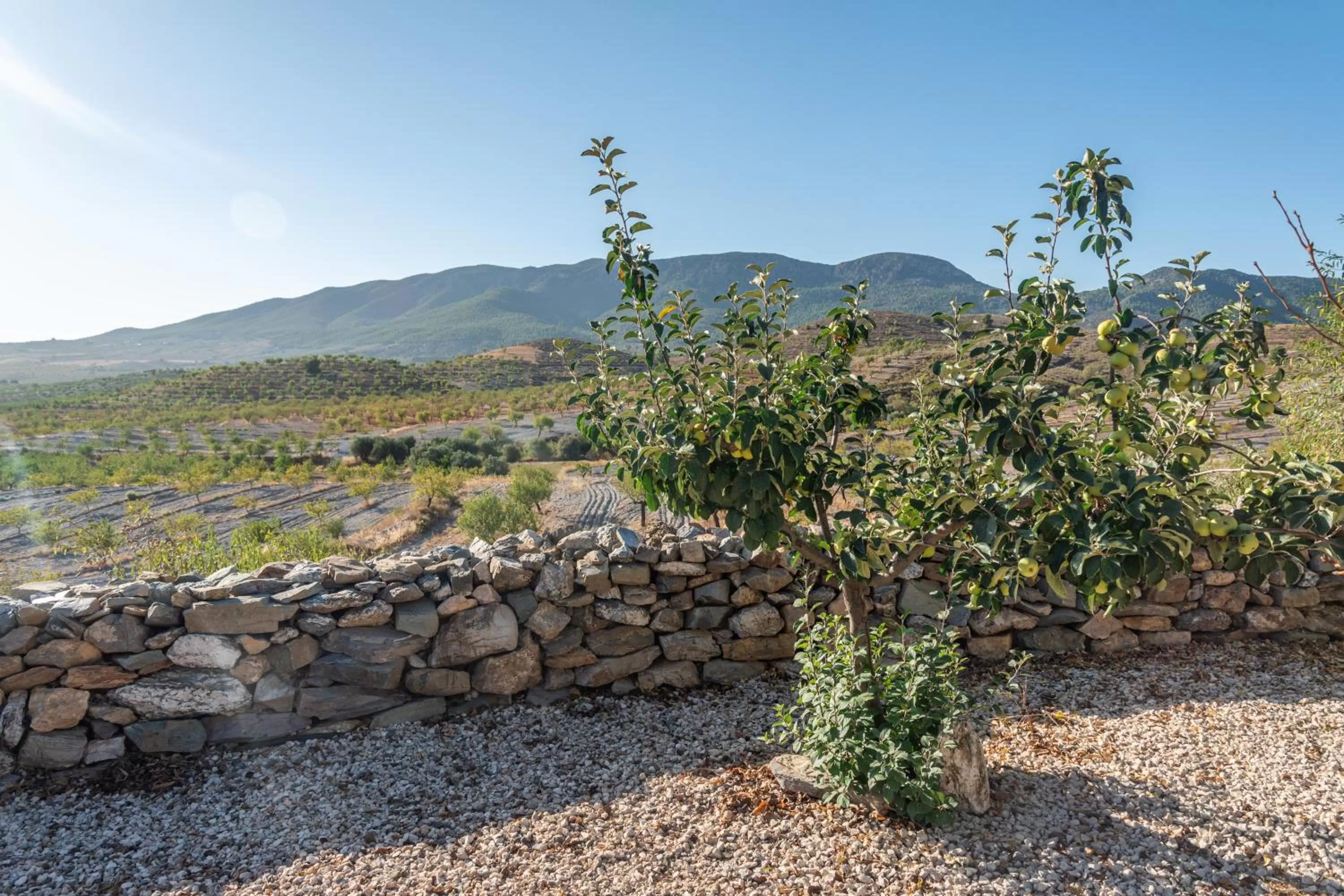 Casa Rural VILLA MELUSINE