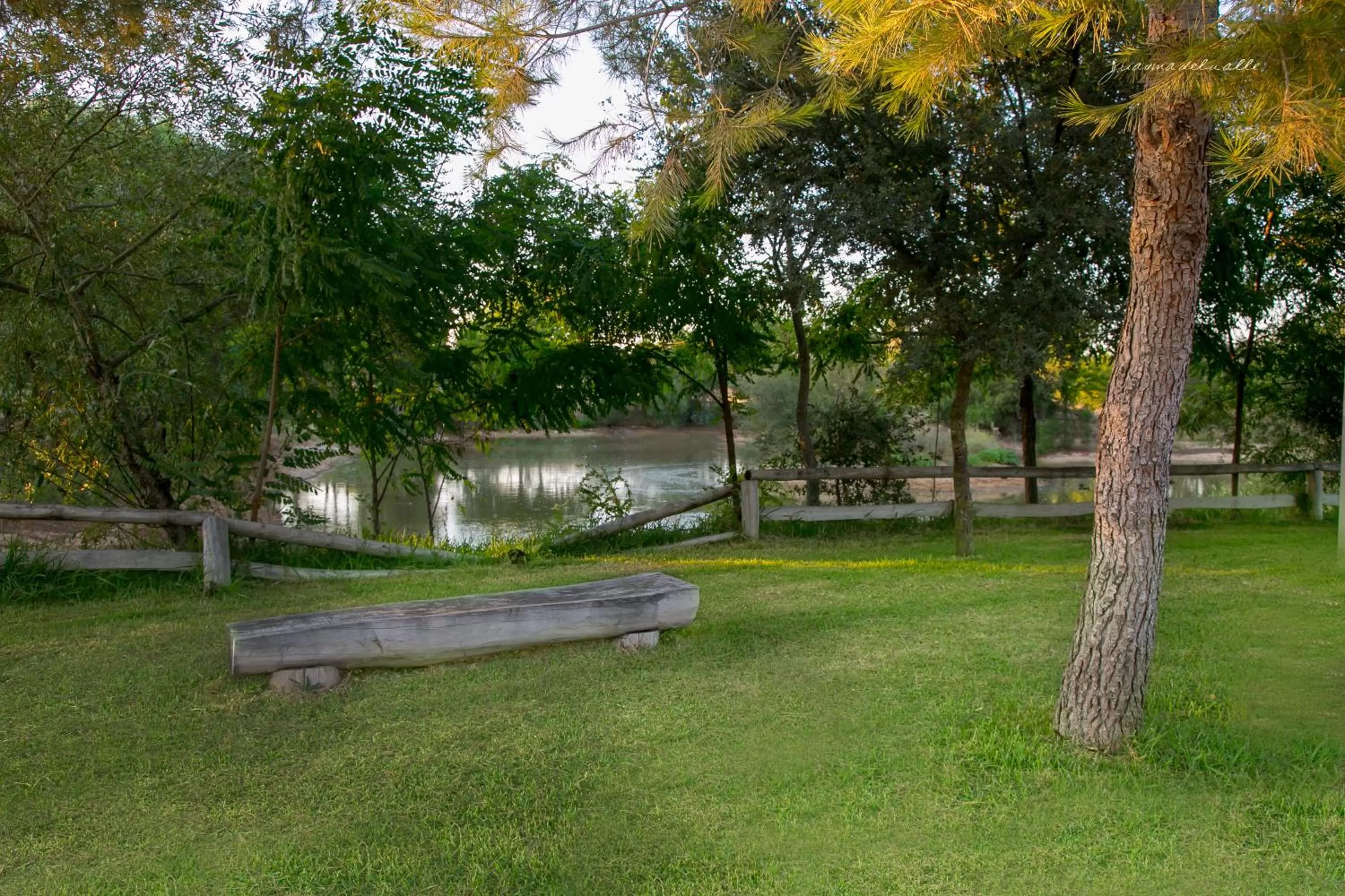 Garden in Ardea Purpurea