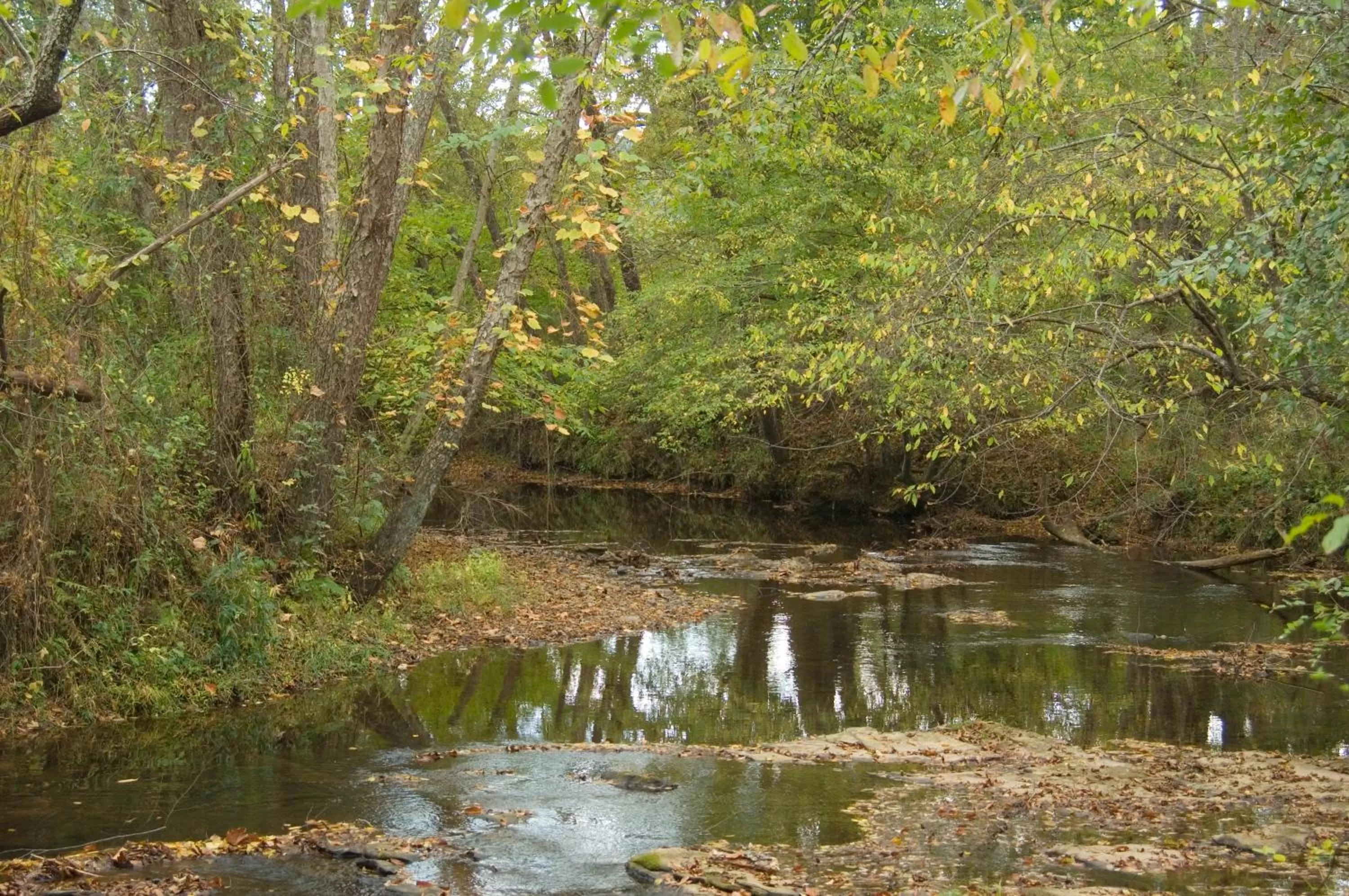 Hiking in Brasstown Valley Resort & Spa