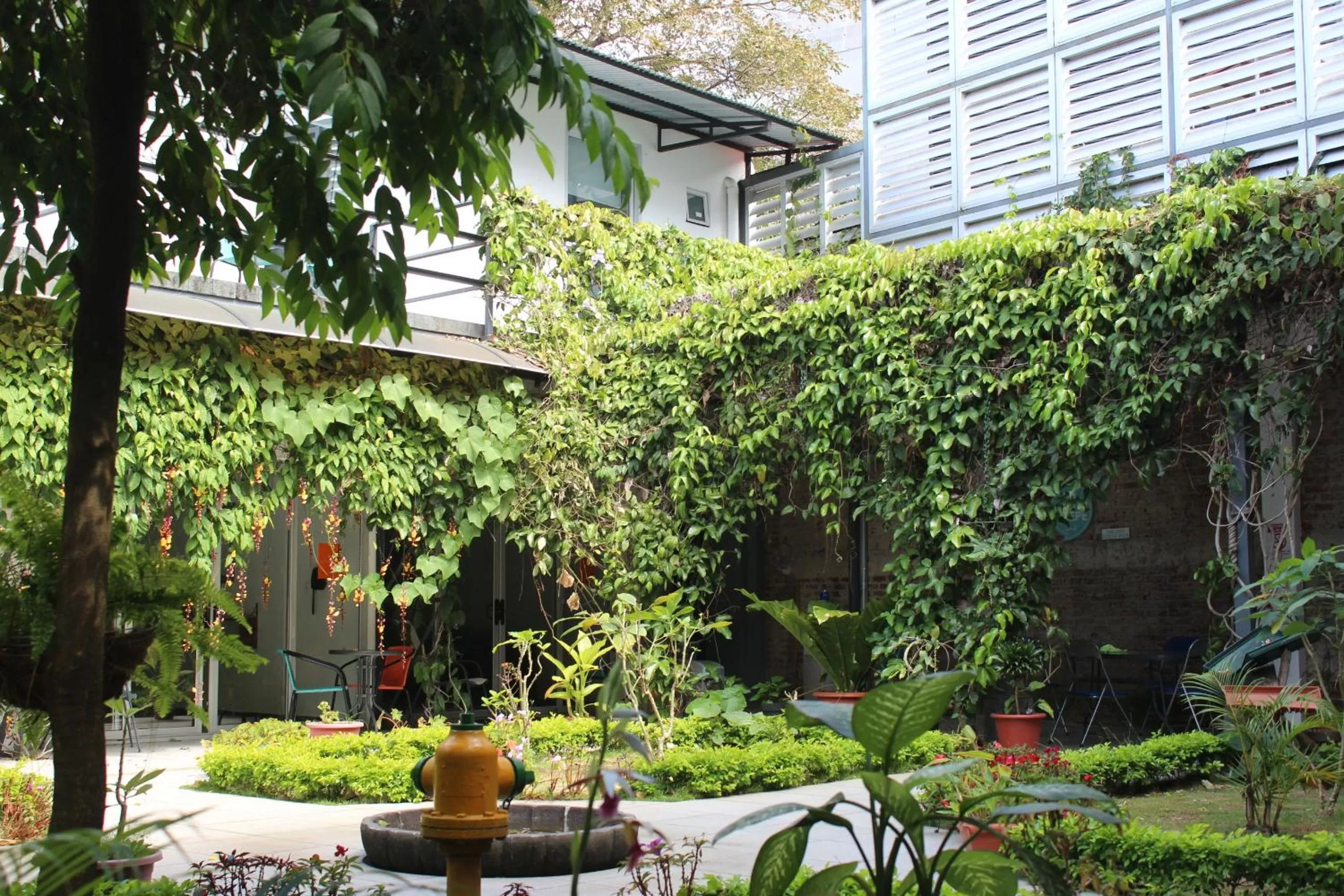 Cando Living Apartments in Central Avenue