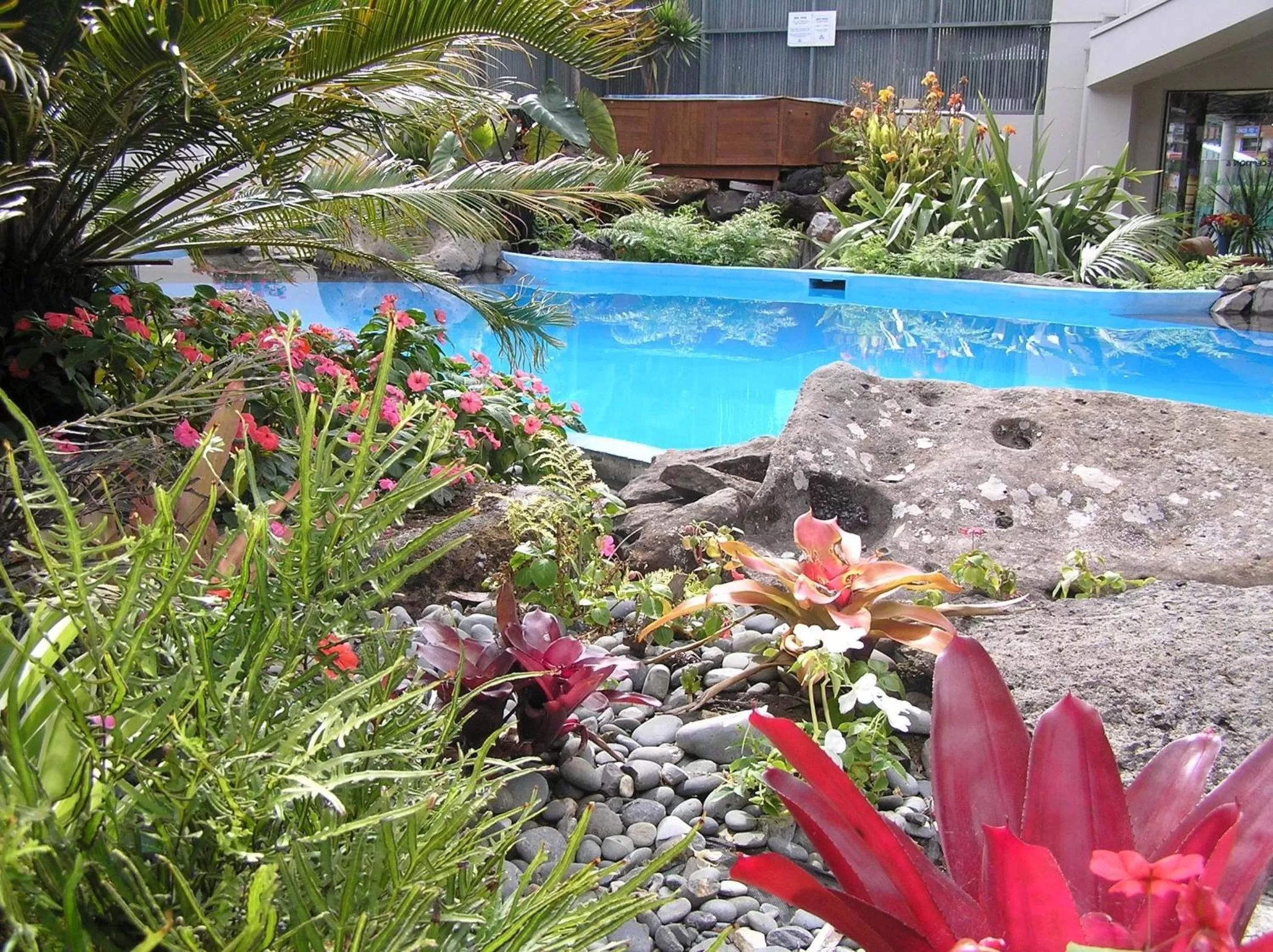 Swimming pool in Paihia Pacific Resort Hotel