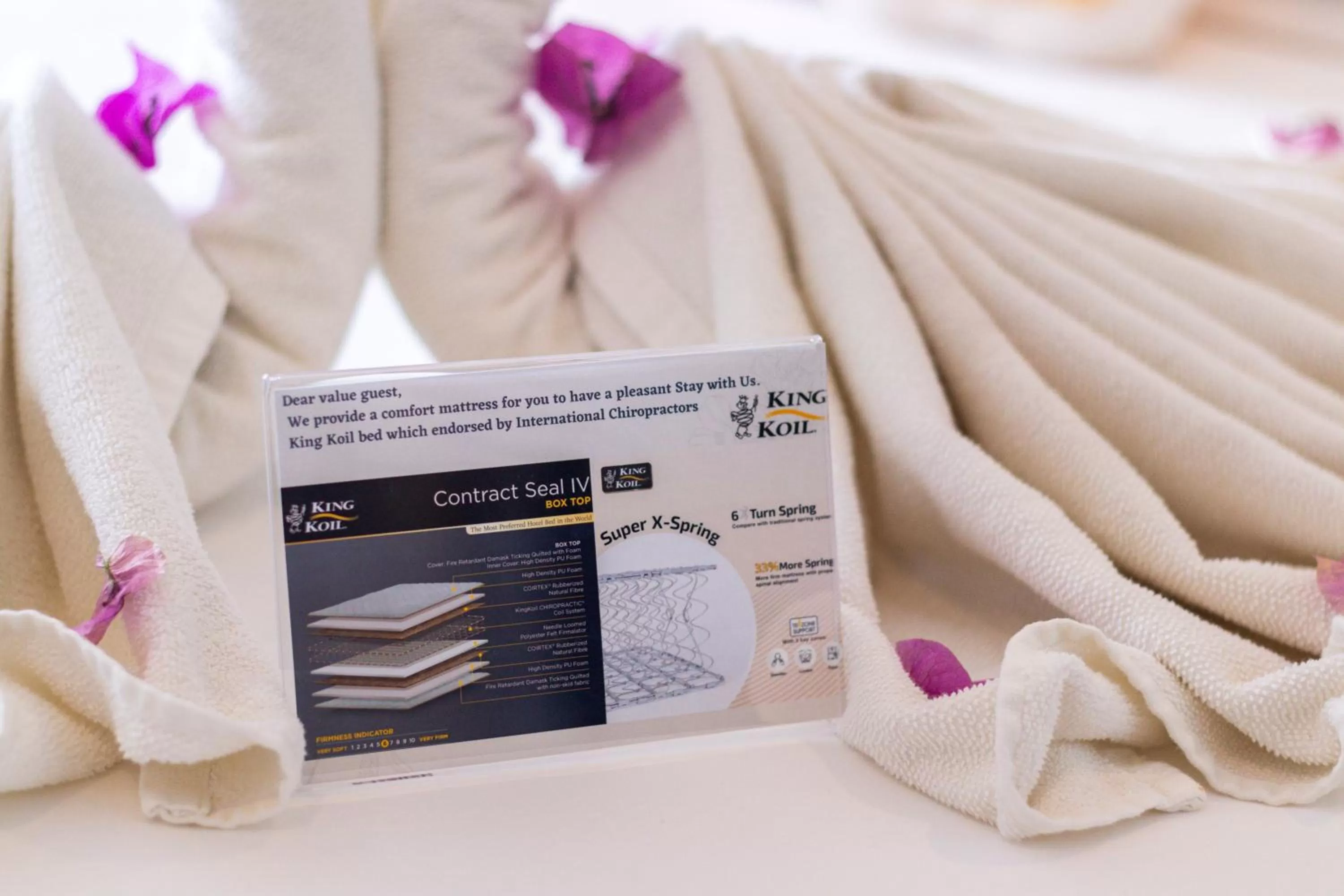 Text overlay in Bagan Suite