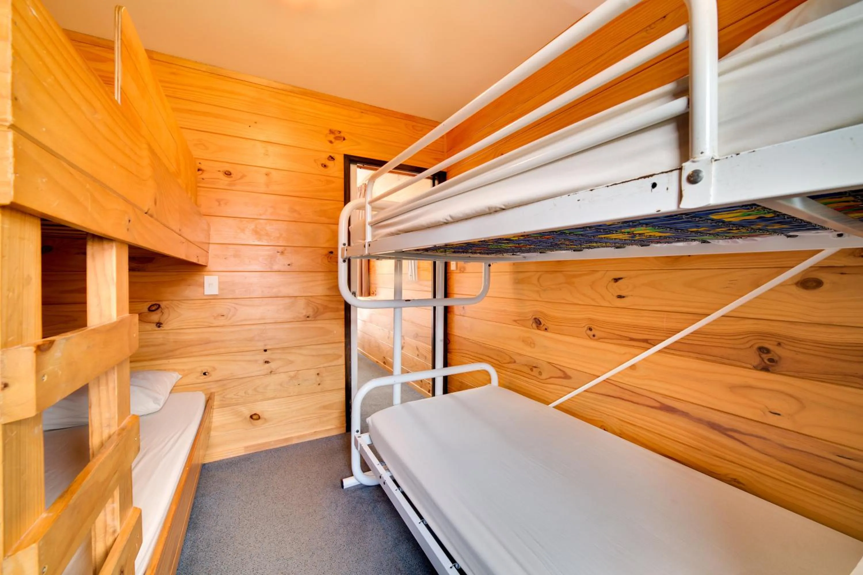 bunk bed, Bed in Wellington TOP 10 Holiday Park