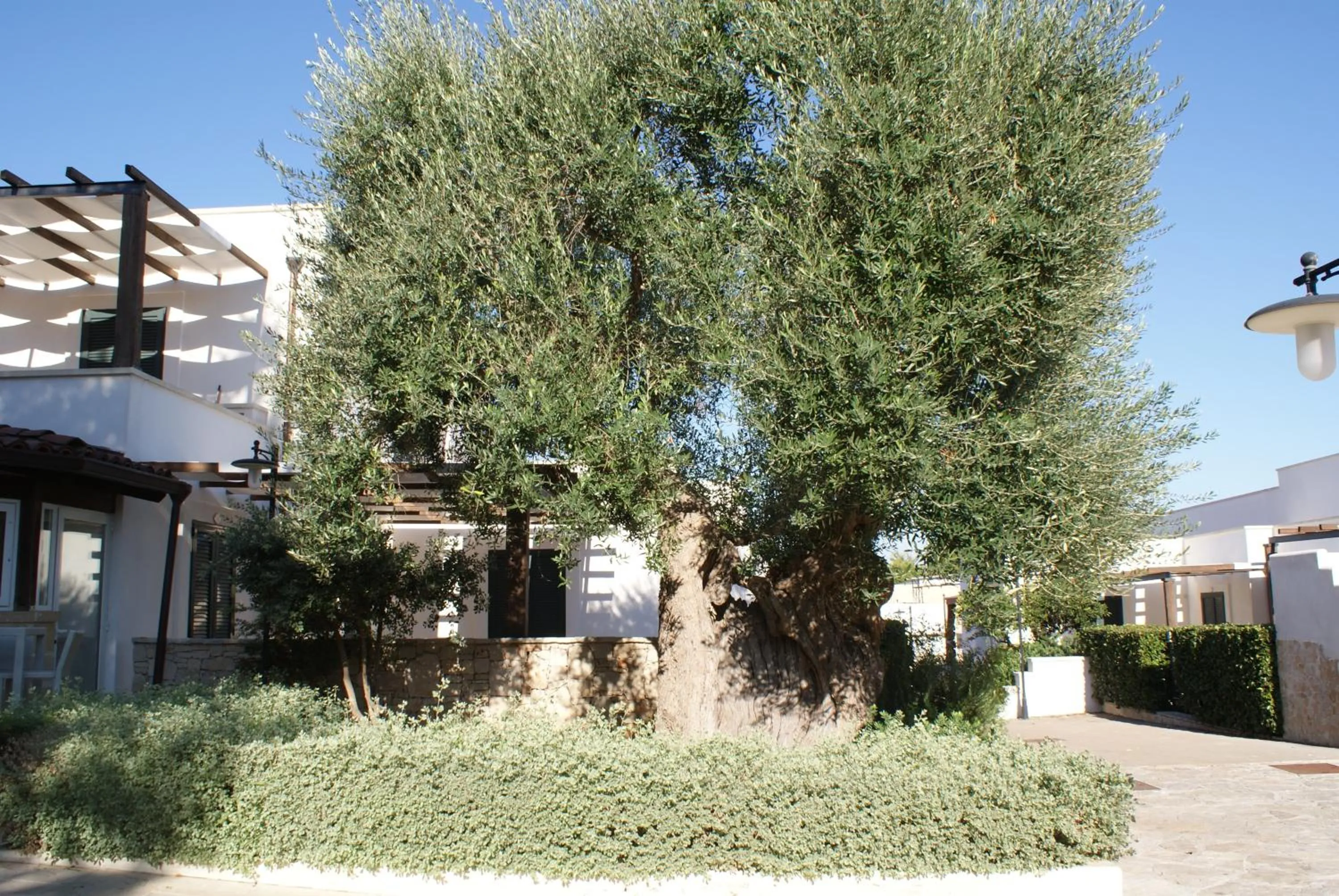 Property building in Messapia Hotel 2