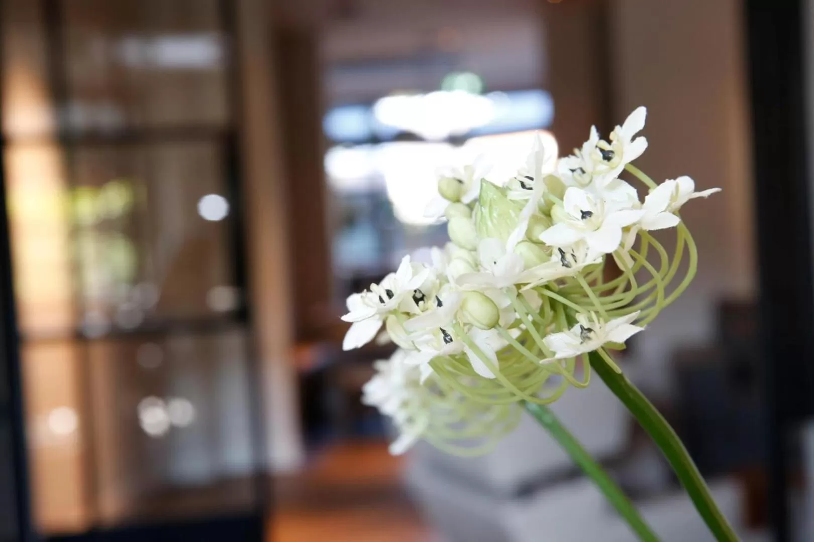 Boutique Hotel Villa Kranenbergh