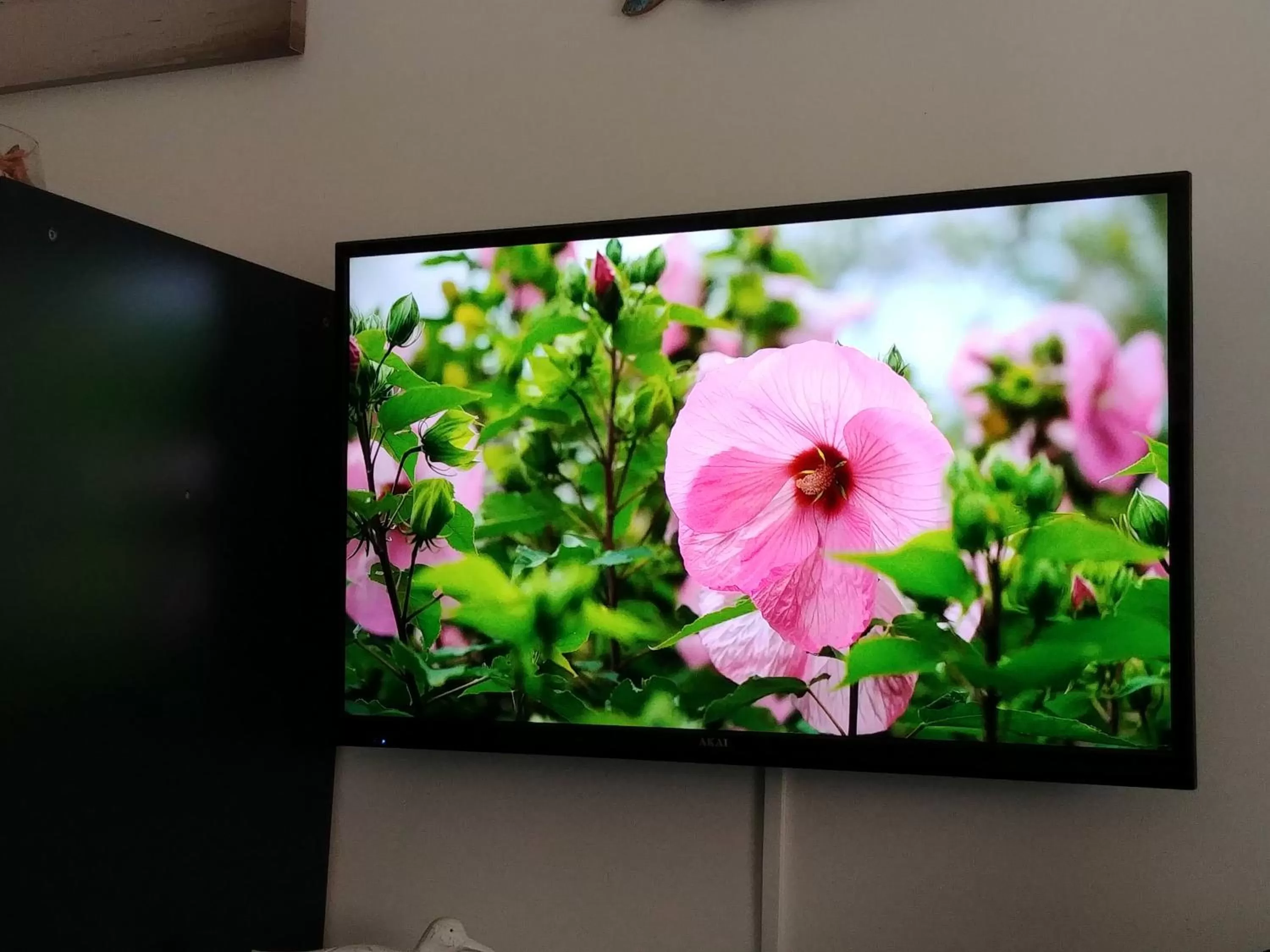 TV and multimedia, TV/Entertainment Center in Miky M House B&B